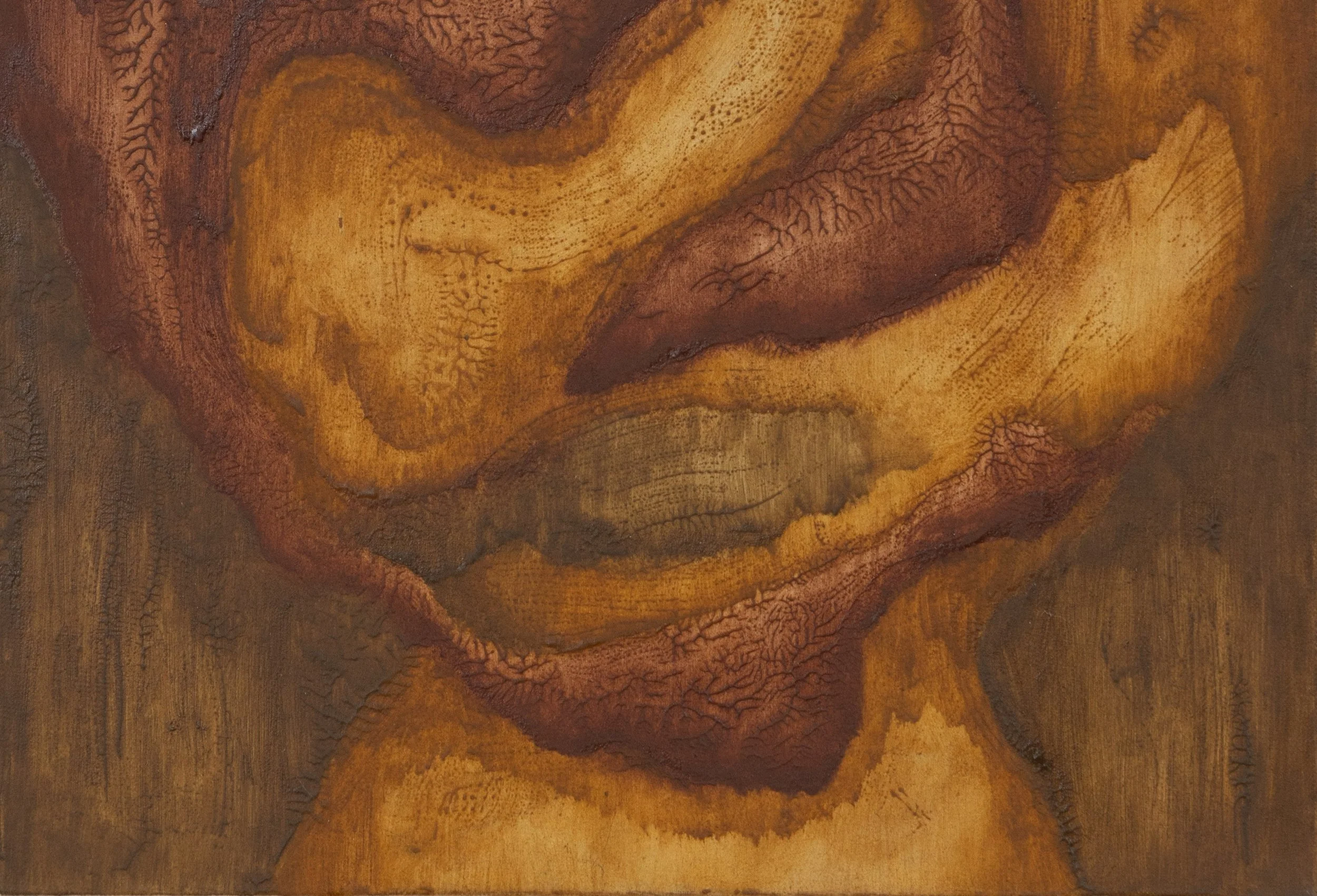 MorpheArts25@BJDeakinPhotography-3018 copy.jpg