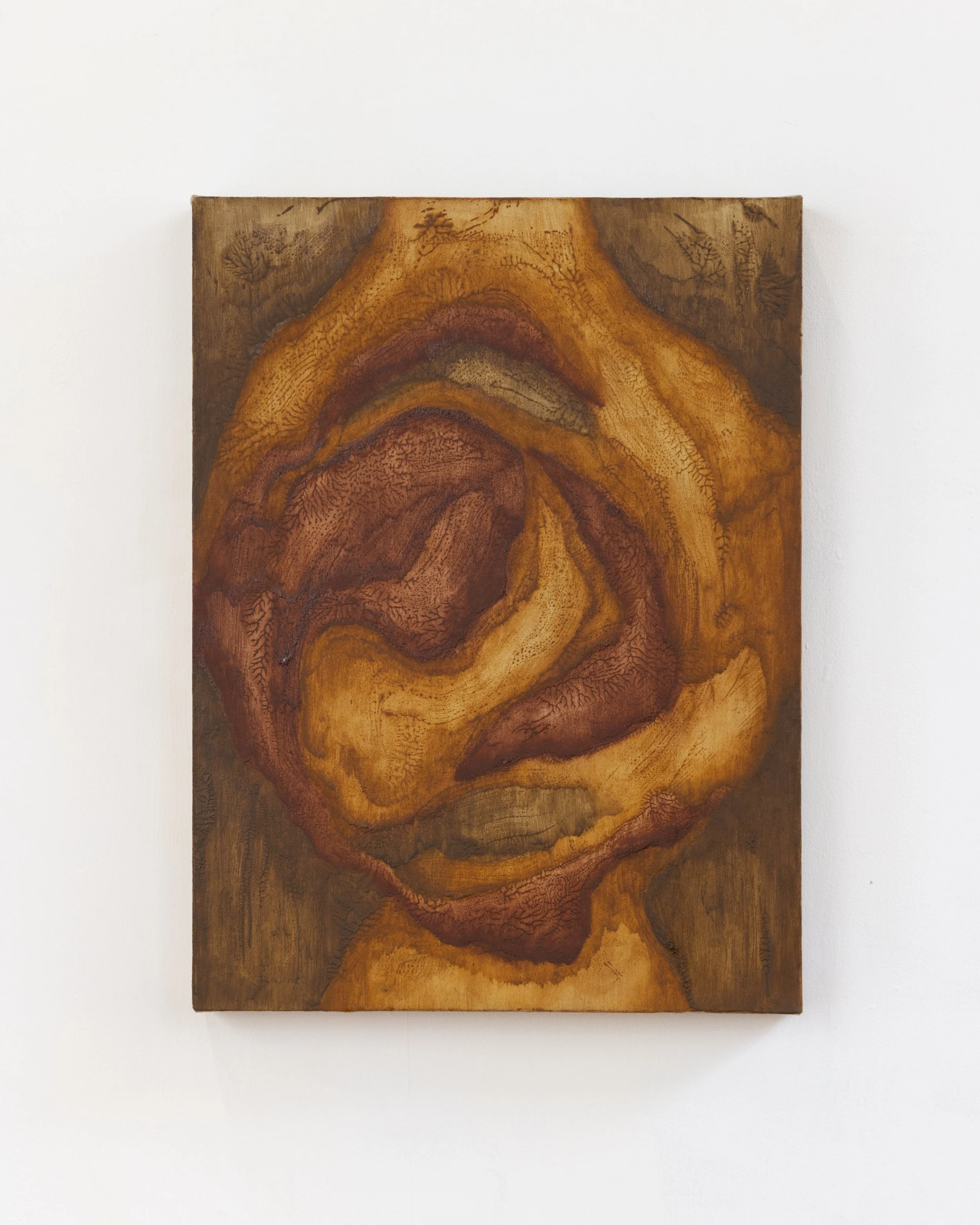 MorpheArts25@BJDeakinPhotography-3018 copy.jpg