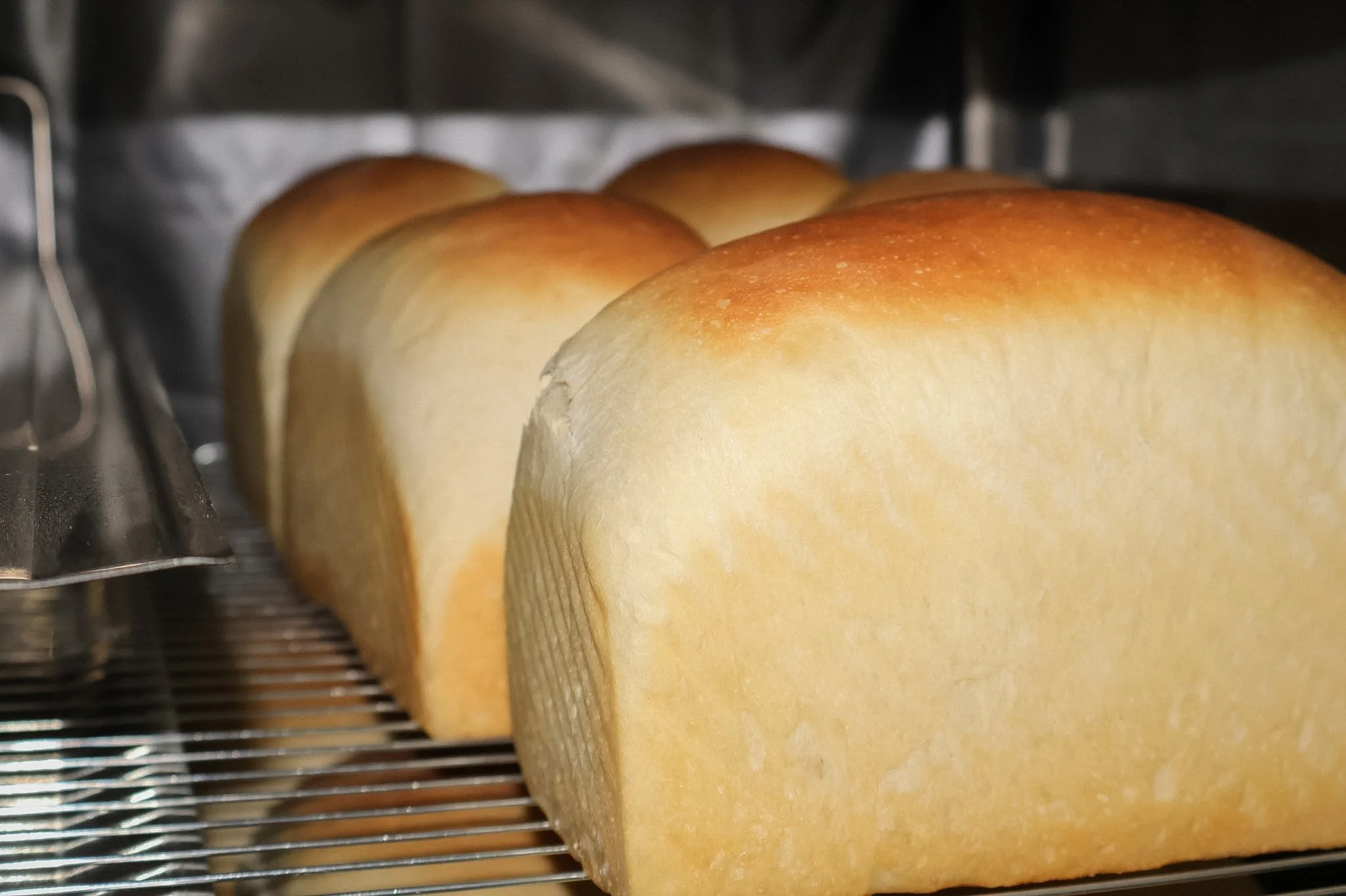 Tray of freshly baked burger buns cooling in the Let’s Meat kitchen