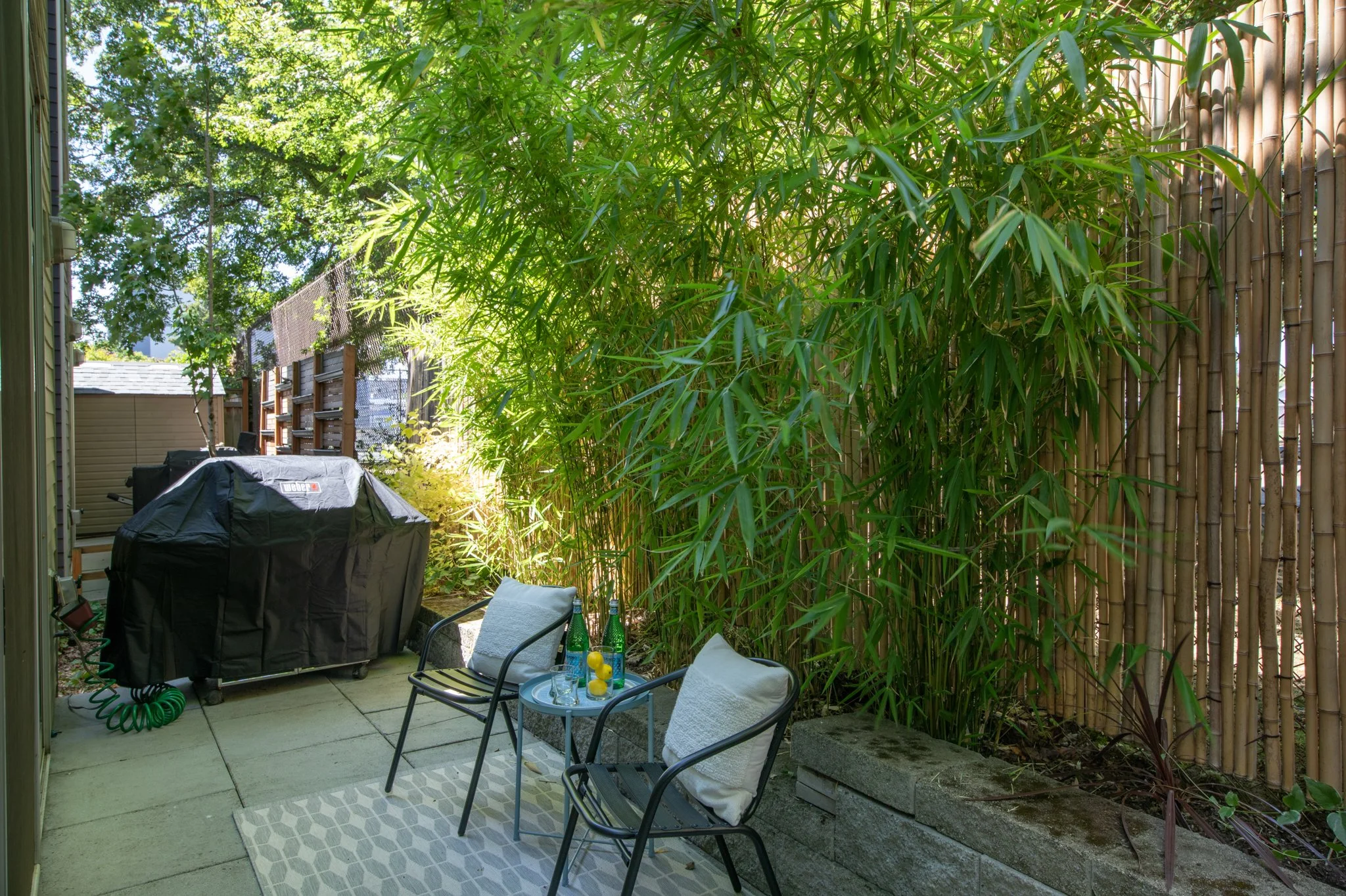 View of a backyard patio with chairs, a table with drinks, a covered grill, and lush green bamboo and trees providing privacy and shade.
