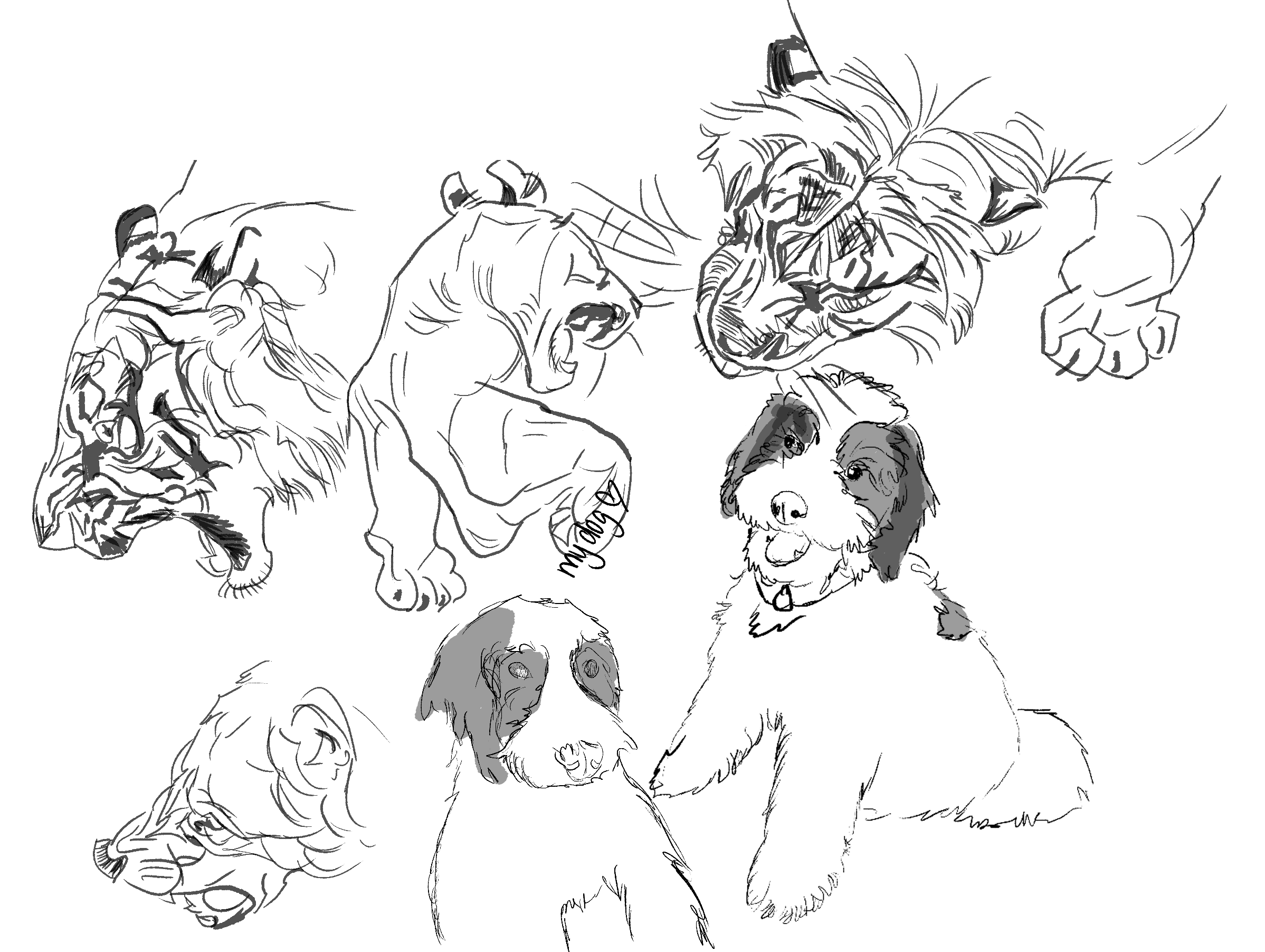 sadie sketches September 4th and 9th.png