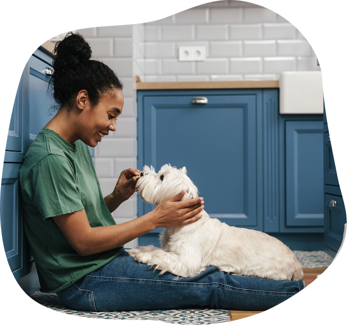 A woman smiling and playing with a white dog in a kitchen with blue cabinets.