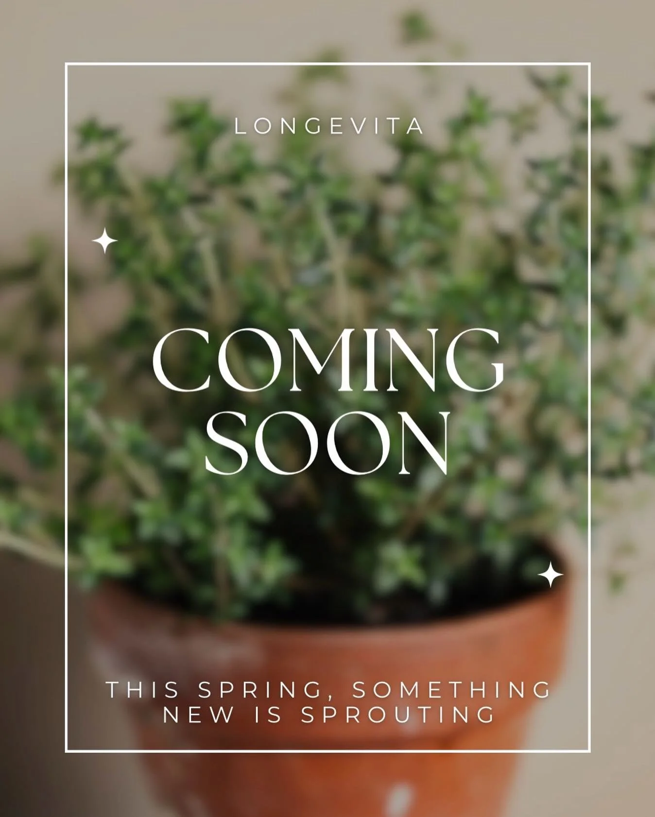 Good things are coming &mdash; rooted right here in Austin.
Follow along and be the first to know. 🌿
#comingsoon #austindietitian #longevitanutrition
