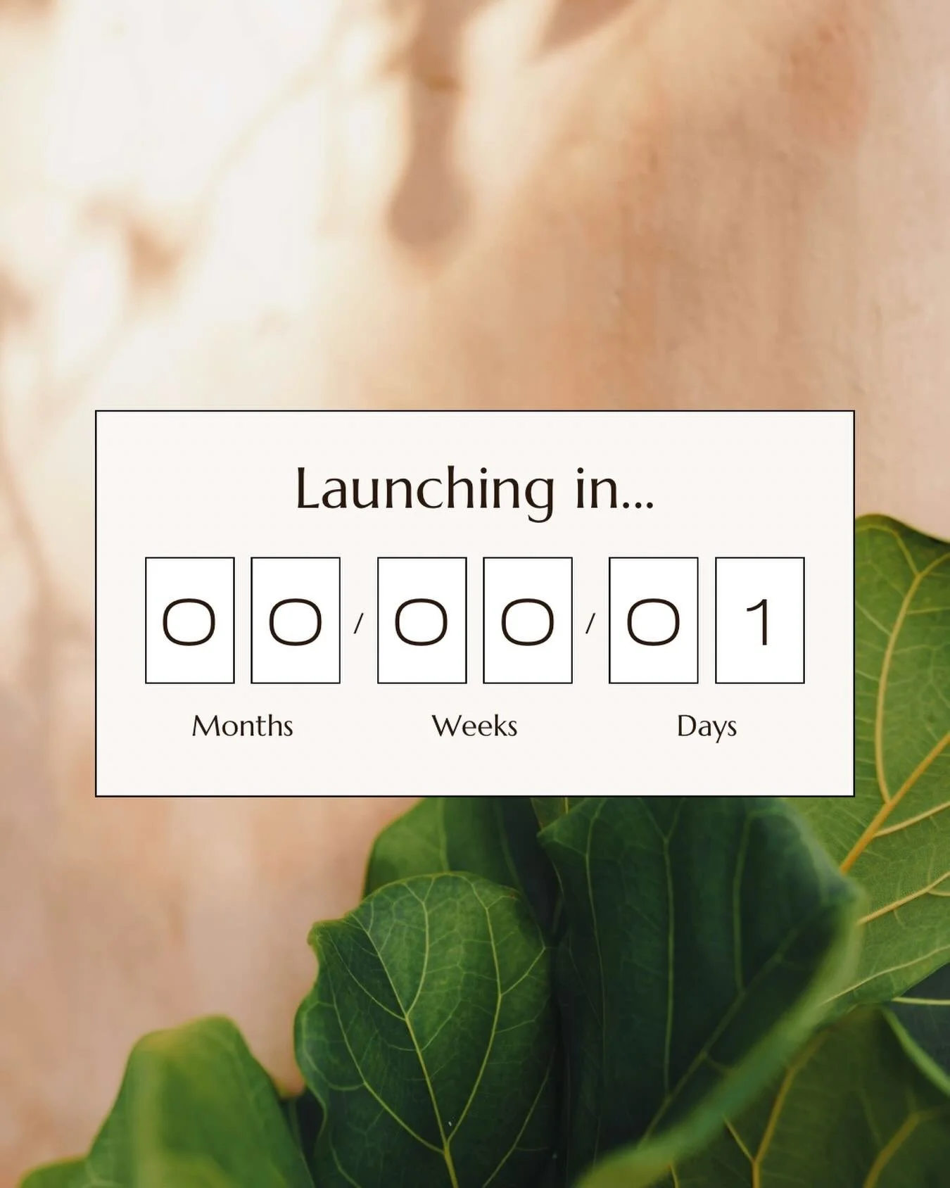 Launching tomorrow!
Longevita can&rsquo;t wait to meet you.