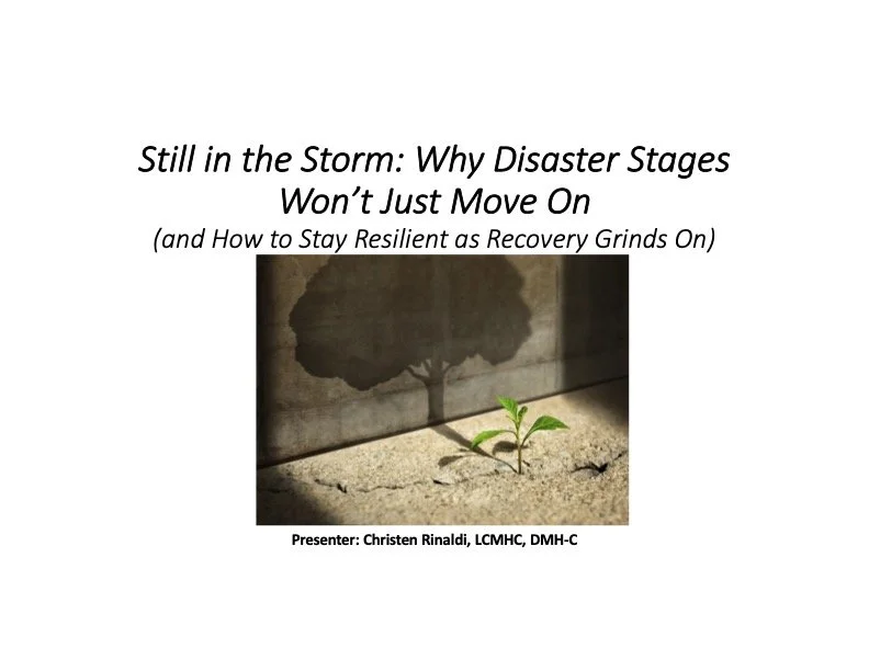 A presentation slide titled 'Still in the Storm: Why Disaster Stages Won't Just Move On' with a subtitle '(and How to Stay Resilient as Recovery Grinds On)' and an image of a small green plant growing in cracked dry soil, casting a shadow of a large tree's silhouette on a wall. The presenter is Christen Rinaldi, LCMHC, DMH-C.