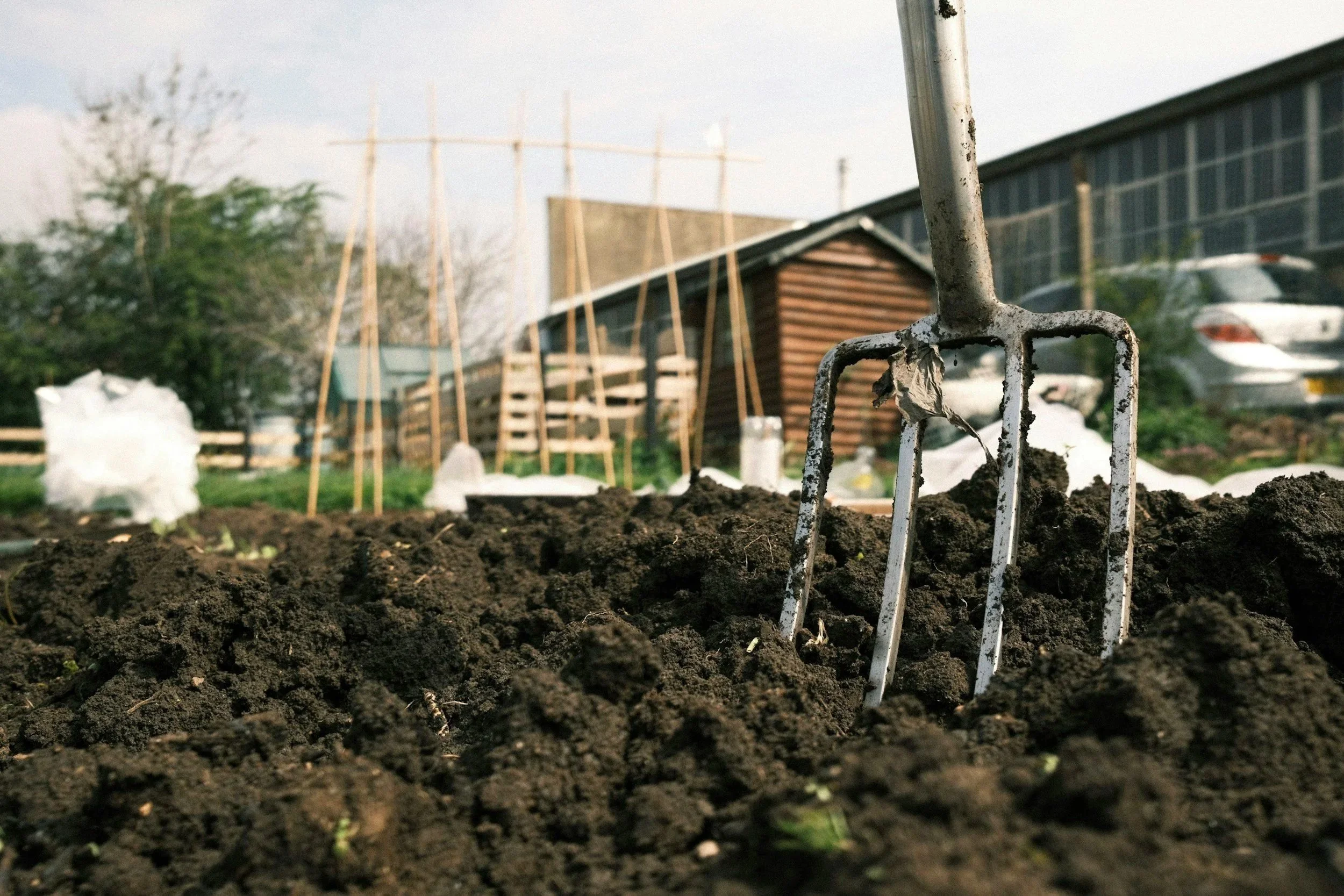 Close-up of a small gardening hoe sticking into dark soil in a garden plot. In the background, there are gardening structures, a wooden shed, trees, and parked cars, under a cloudy sky.
