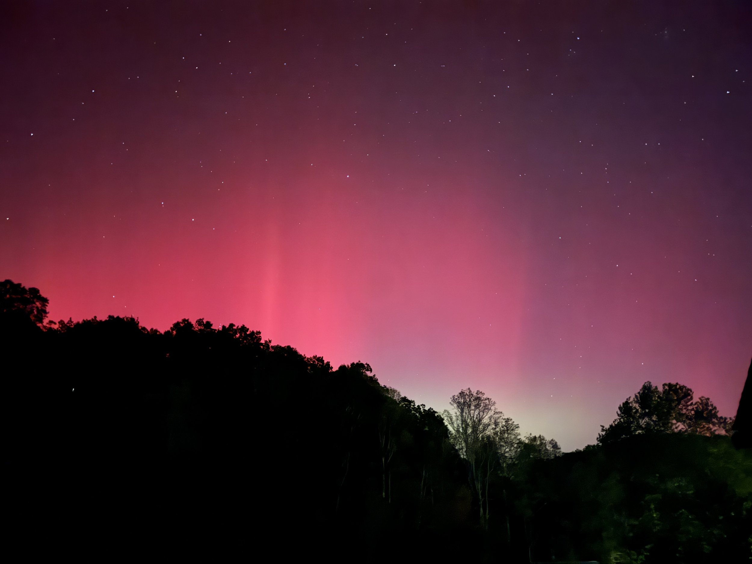 Night sky with visible stars and pink aurora over silhouetted trees and hills.