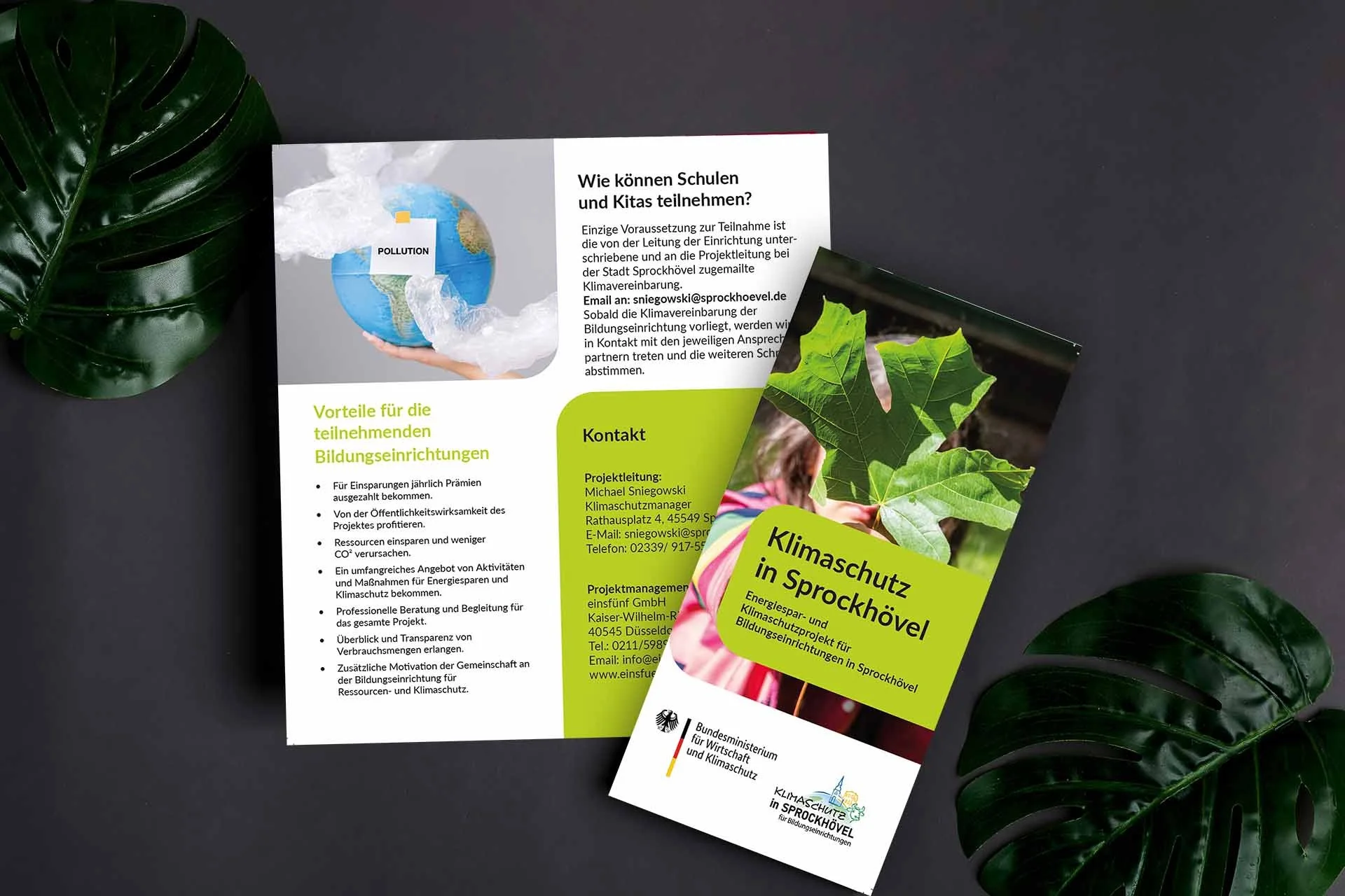 pgaper-mock-up-brochures-with-natural-tropical-palm-2026-01-07-02-22-37-utc.jpg