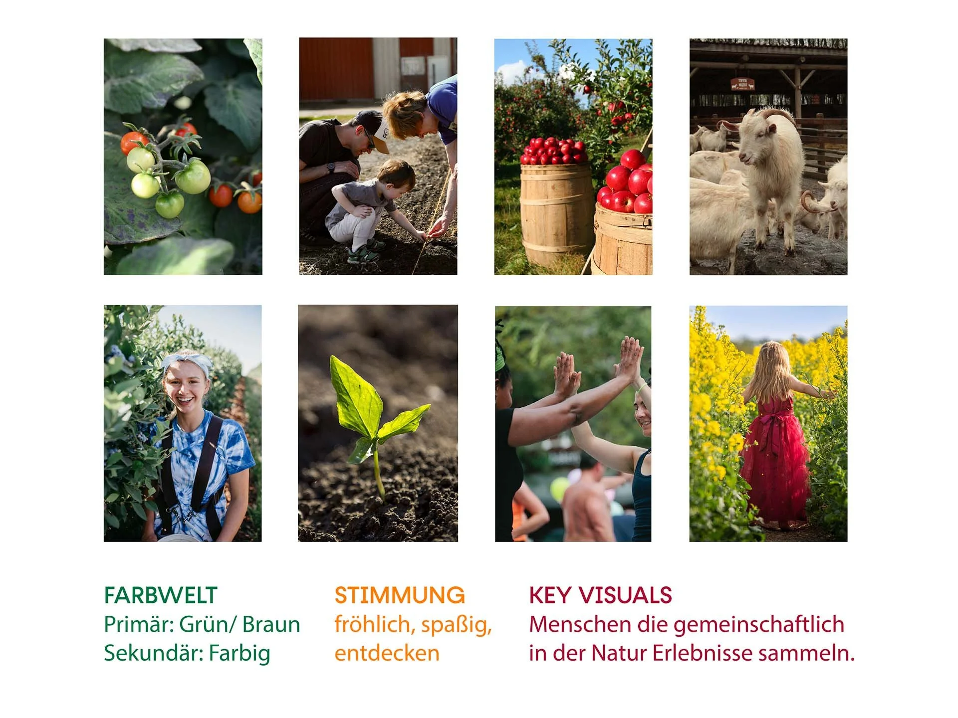 HP Präsentation Gerti-22.jpg