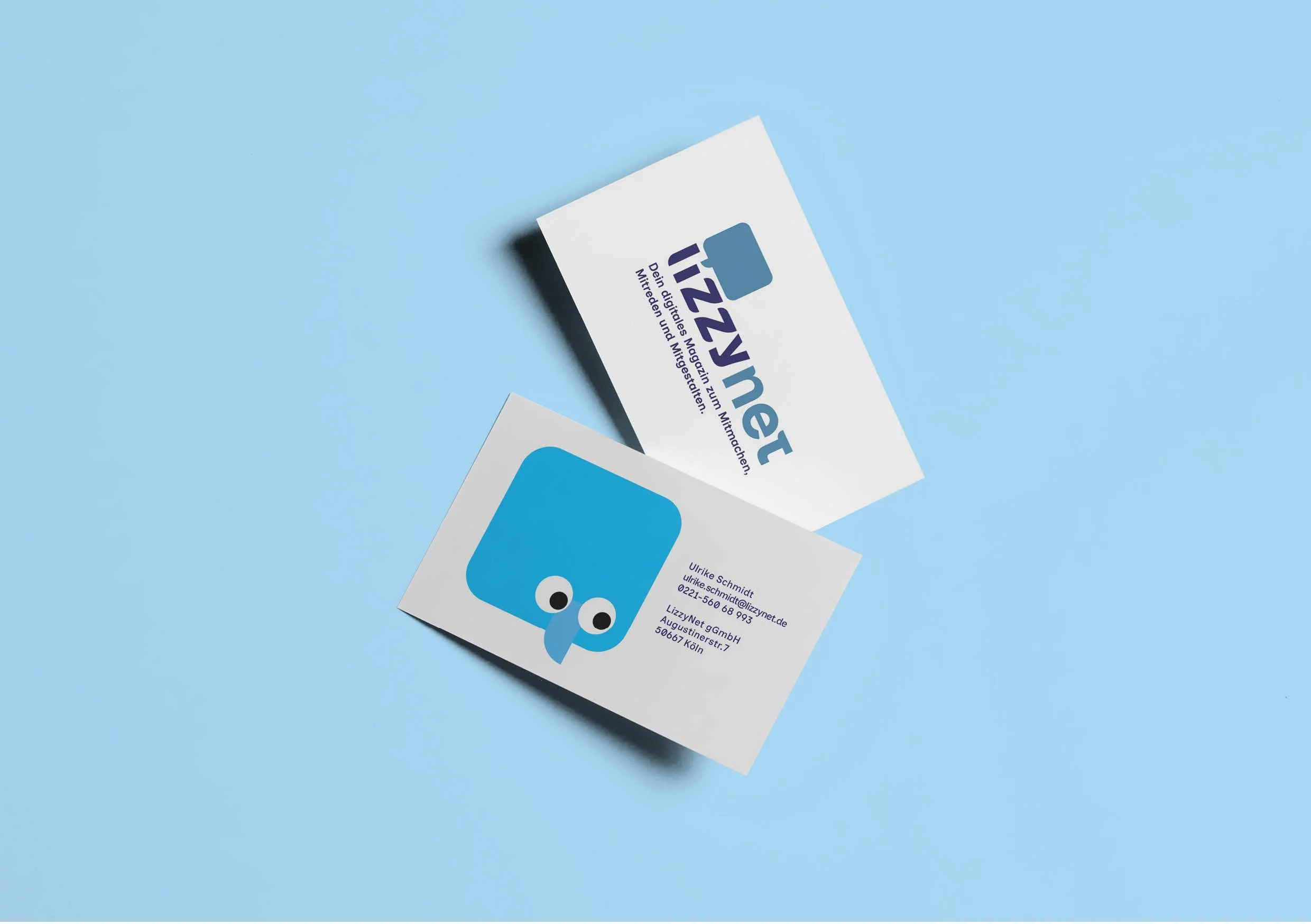 CI: CD LizzyNet33.jpg