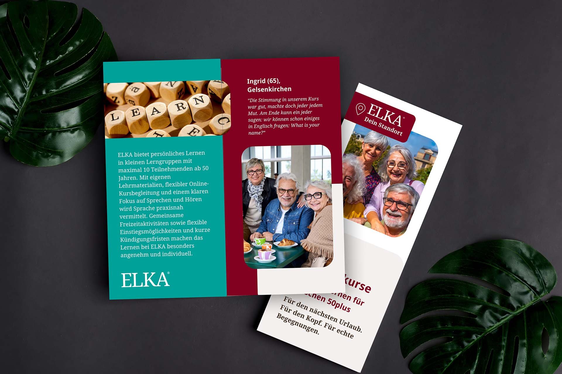 3paper-mock-up-brochures-with-natural-tropical-palm-2026-01-07-02-22-37-utc.jpg