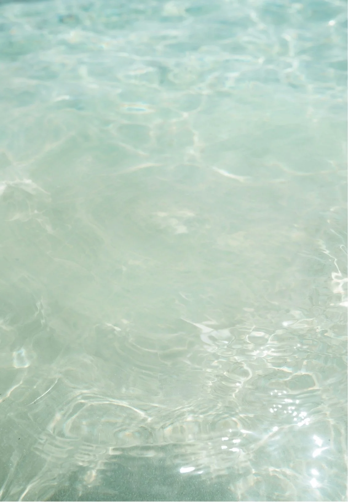 Clear shallow water with gentle ripples and reflections of sunlight.