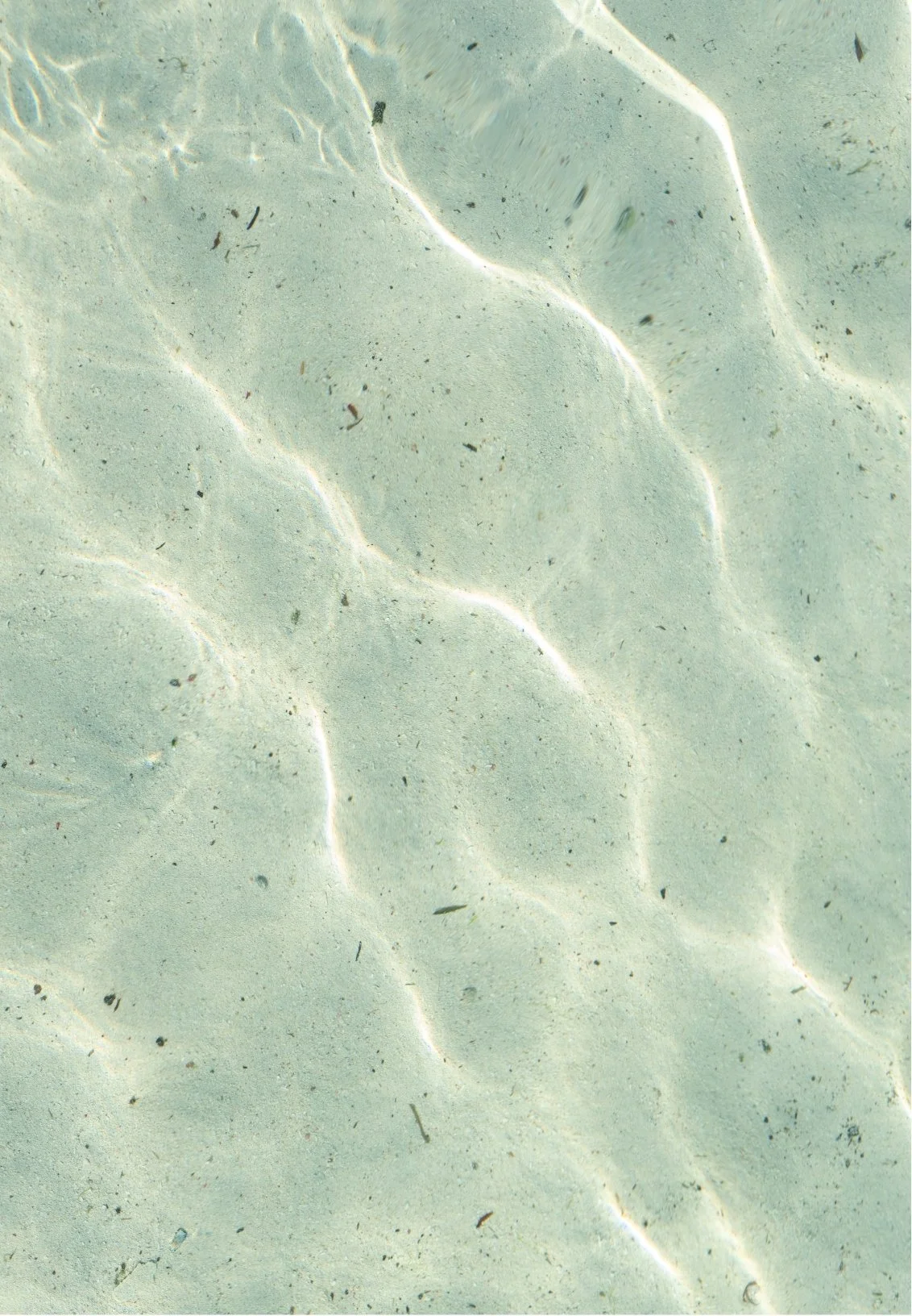 Close-up of sandy seabed with small scattered debris and rippling water patterns.
