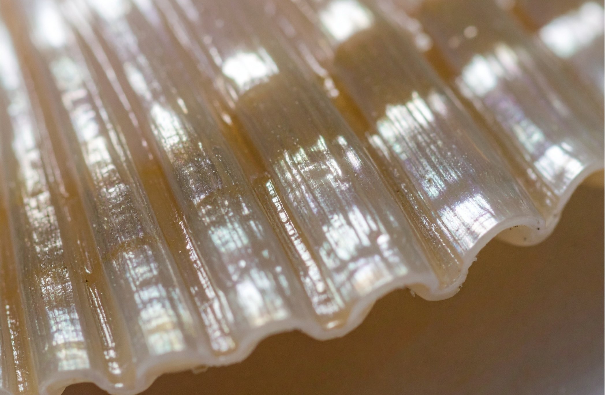 Close-up of a clear, ridged glass object with a shiny, reflective surface and blurred background.