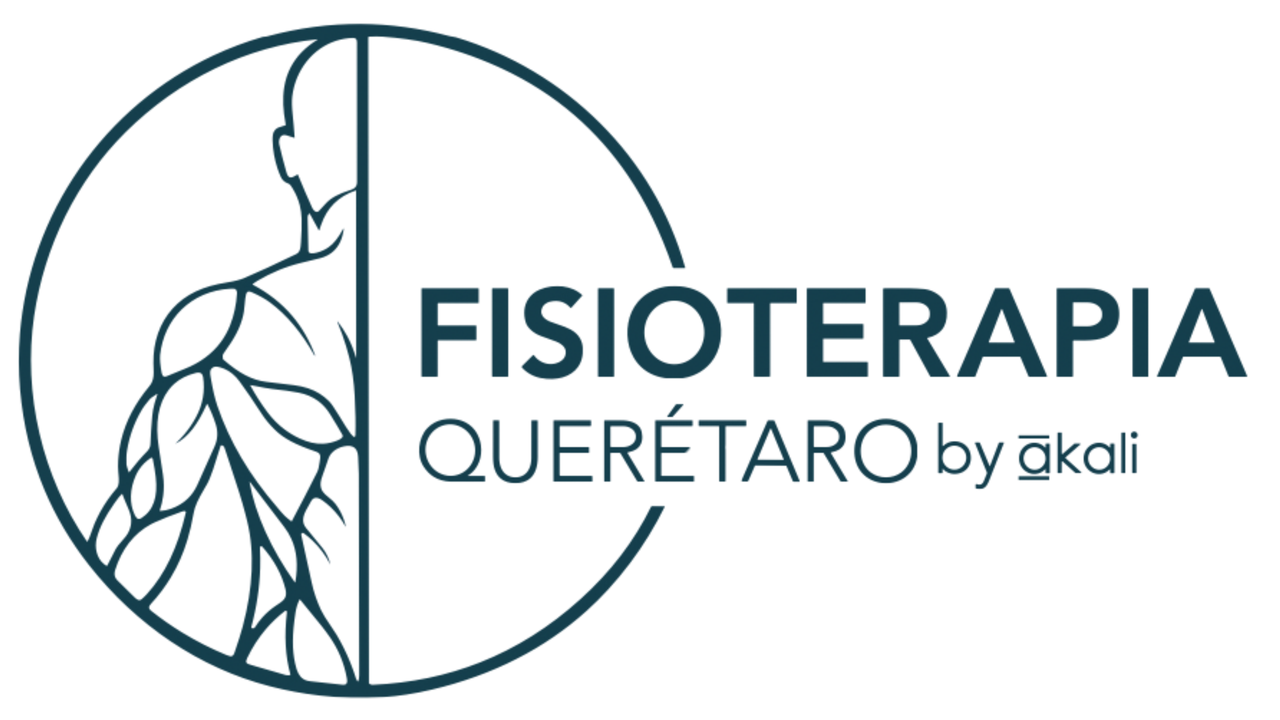 FISIOTERAPIA QUERETARO