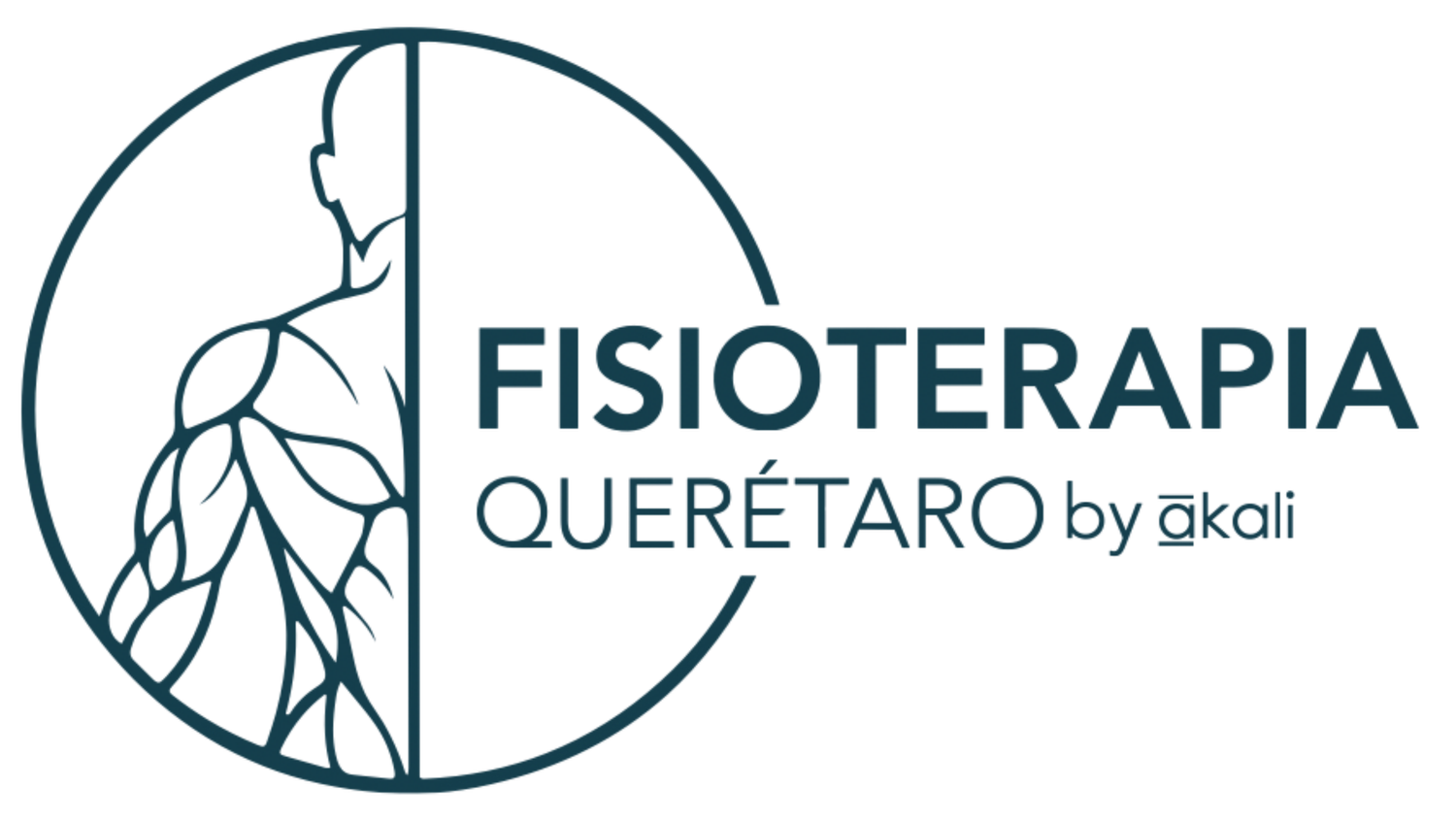 FISIOTERAPIA QUERETARO By Akali