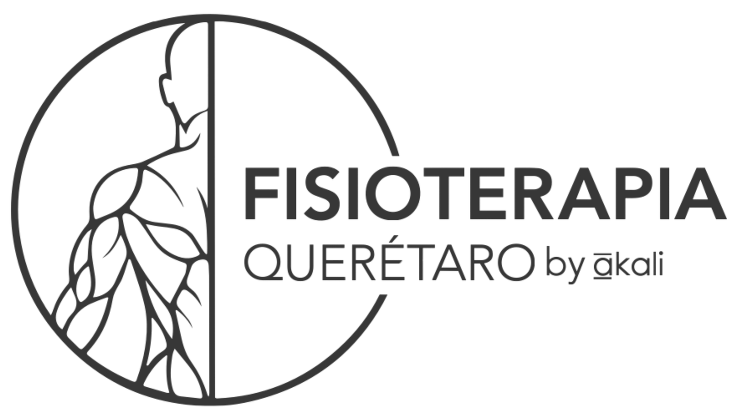 FISIOTERAPIA QUERETARO By Akali
