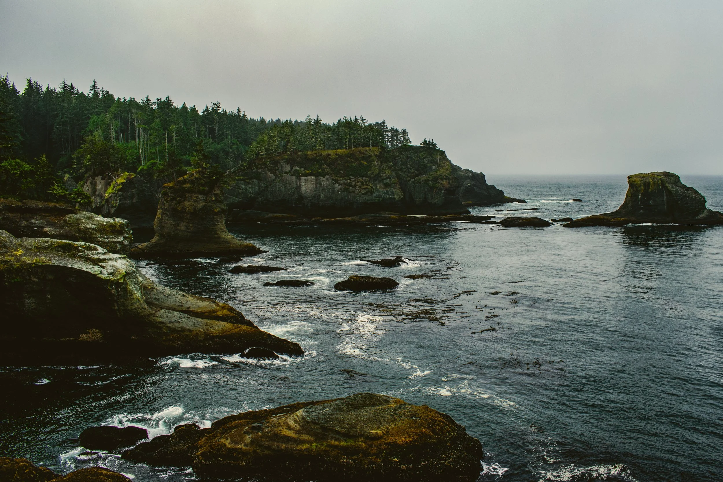 The Pacific Northwest