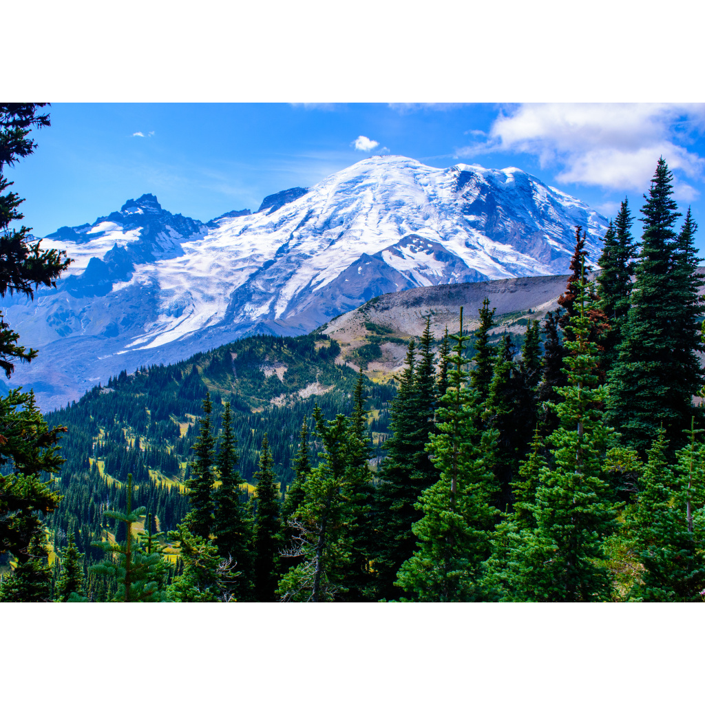 Mountain Alpine