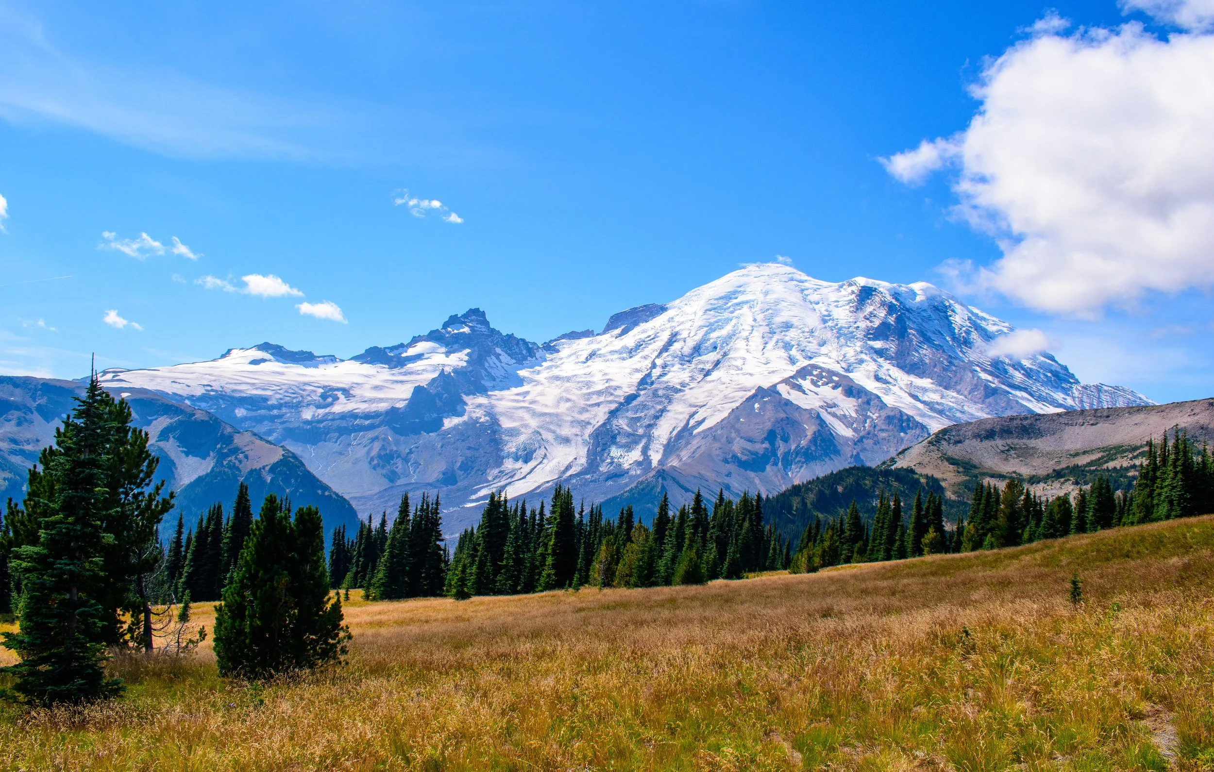This shot was taken in Mount Rainier national park, Washington on a lengthy high-altitude hike around 9,000ft elevation!