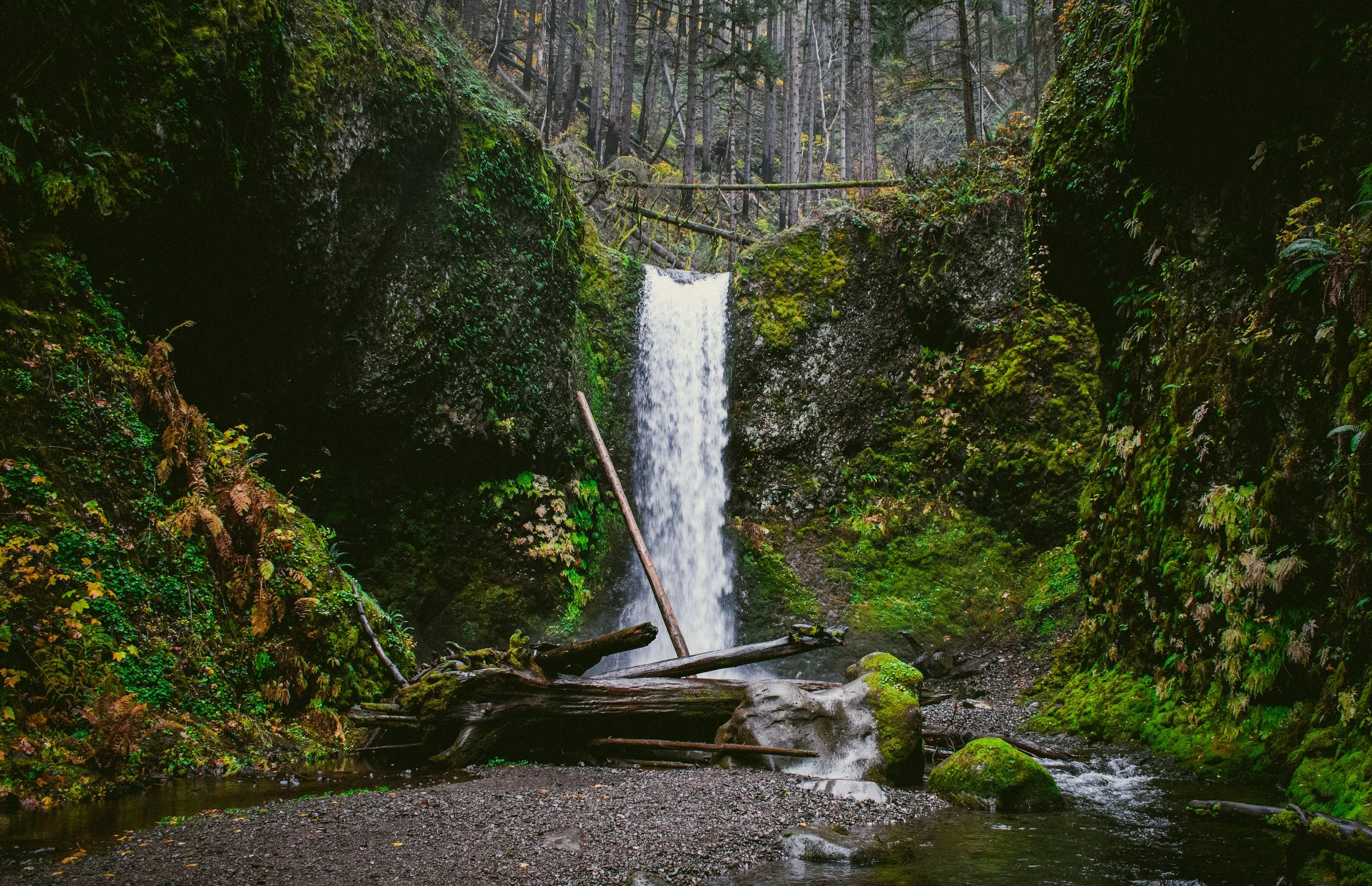 Deep within the PNW forest, a large waterfall with a full-size tree trunk held within the current. The Pacific Northwest never disappoints.