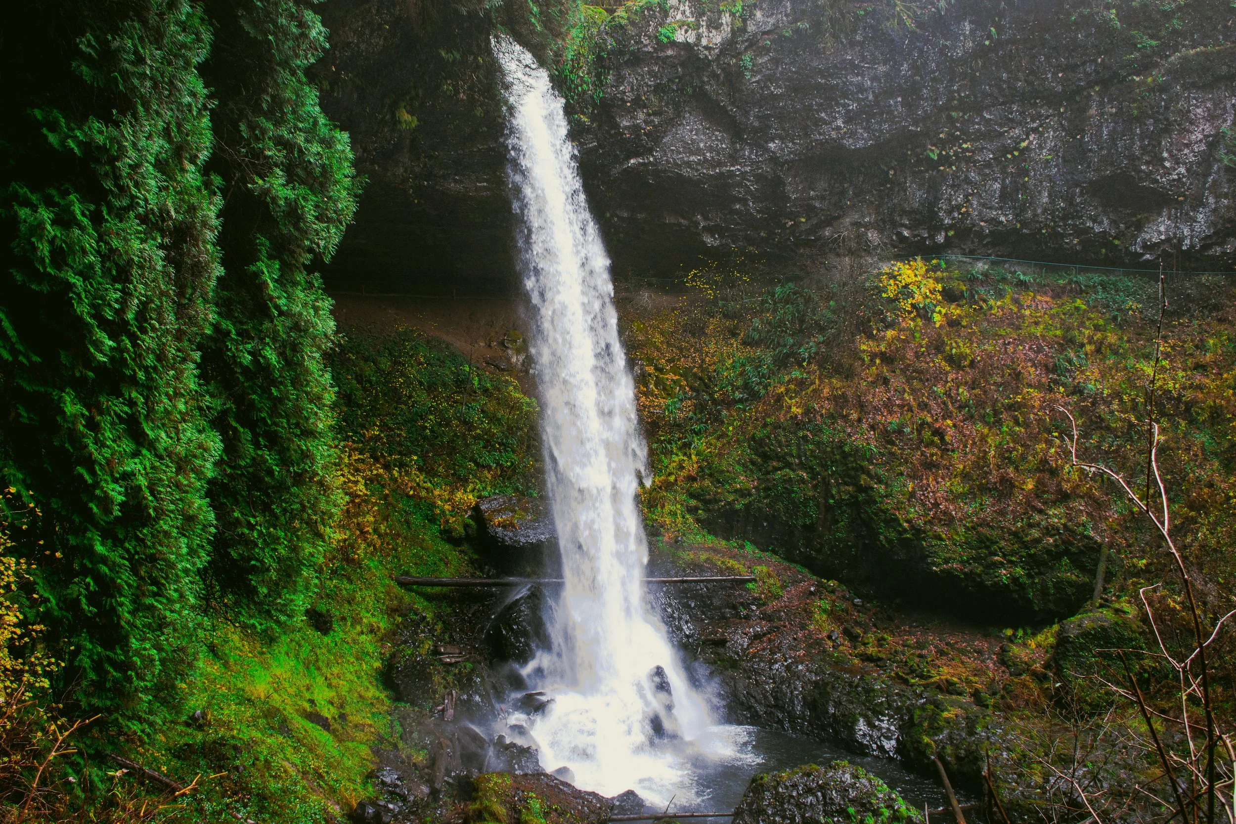 Strong falls of Oregon, fall colors popping with lush greens and a contrast of white rushing water.