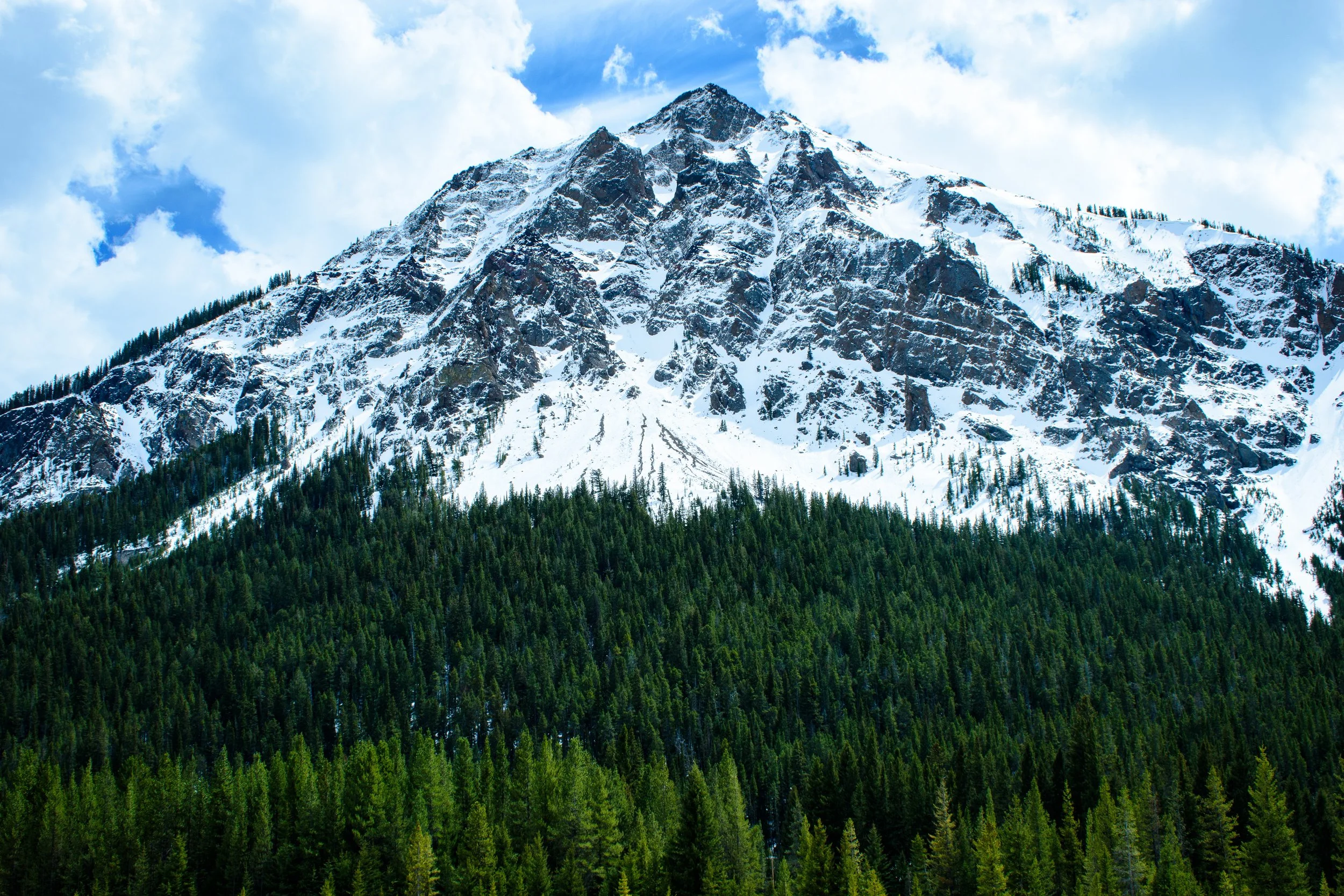 Steep jagged cliffs, melting snow pack and a gradient of lush green pines. This shot was taken in the early spring of 2026 in Yellowstone on the Montana/Wyoming border.