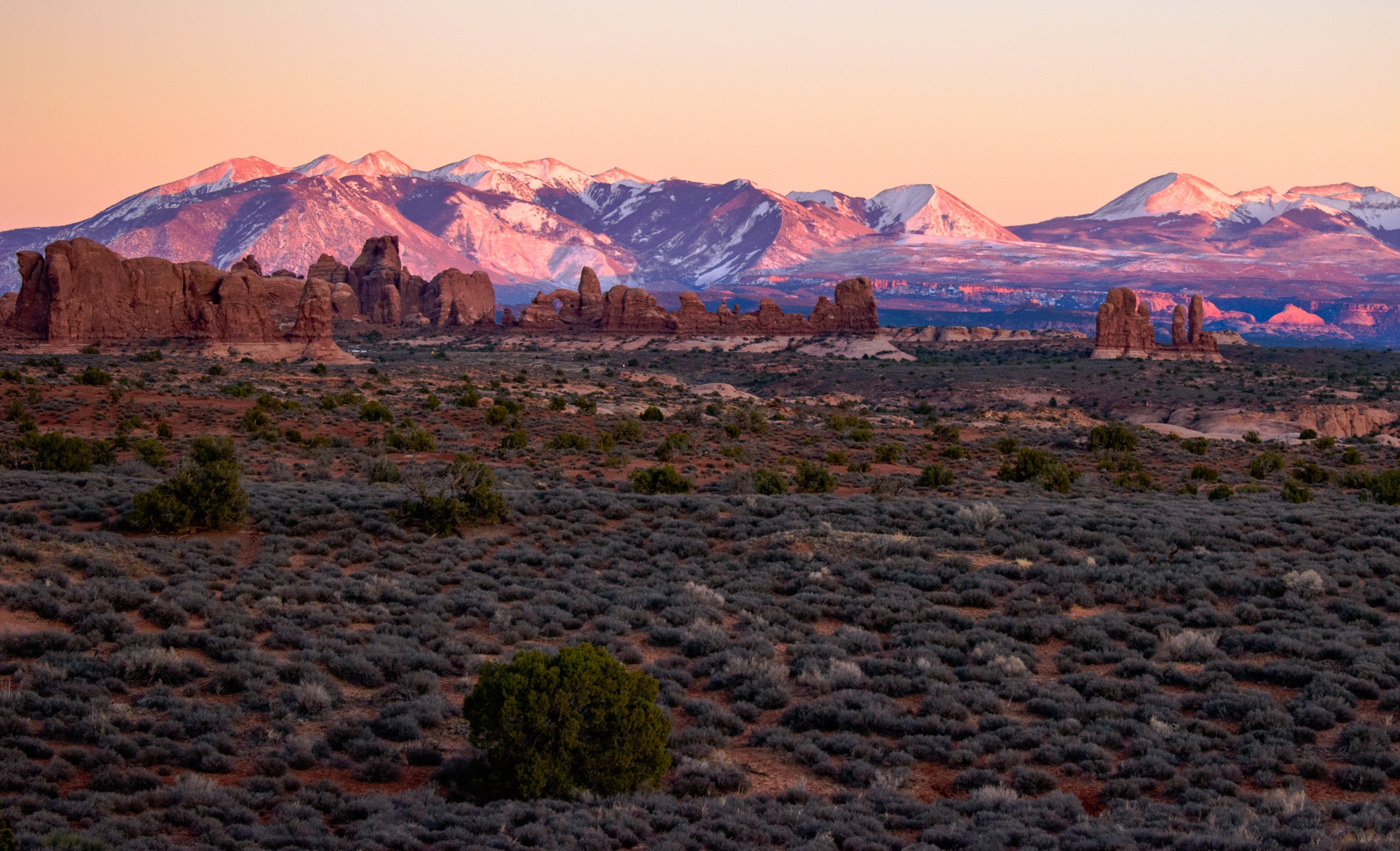 Sunset alpenglow of the La Sal mountains in the background of Arches national park, Utah.