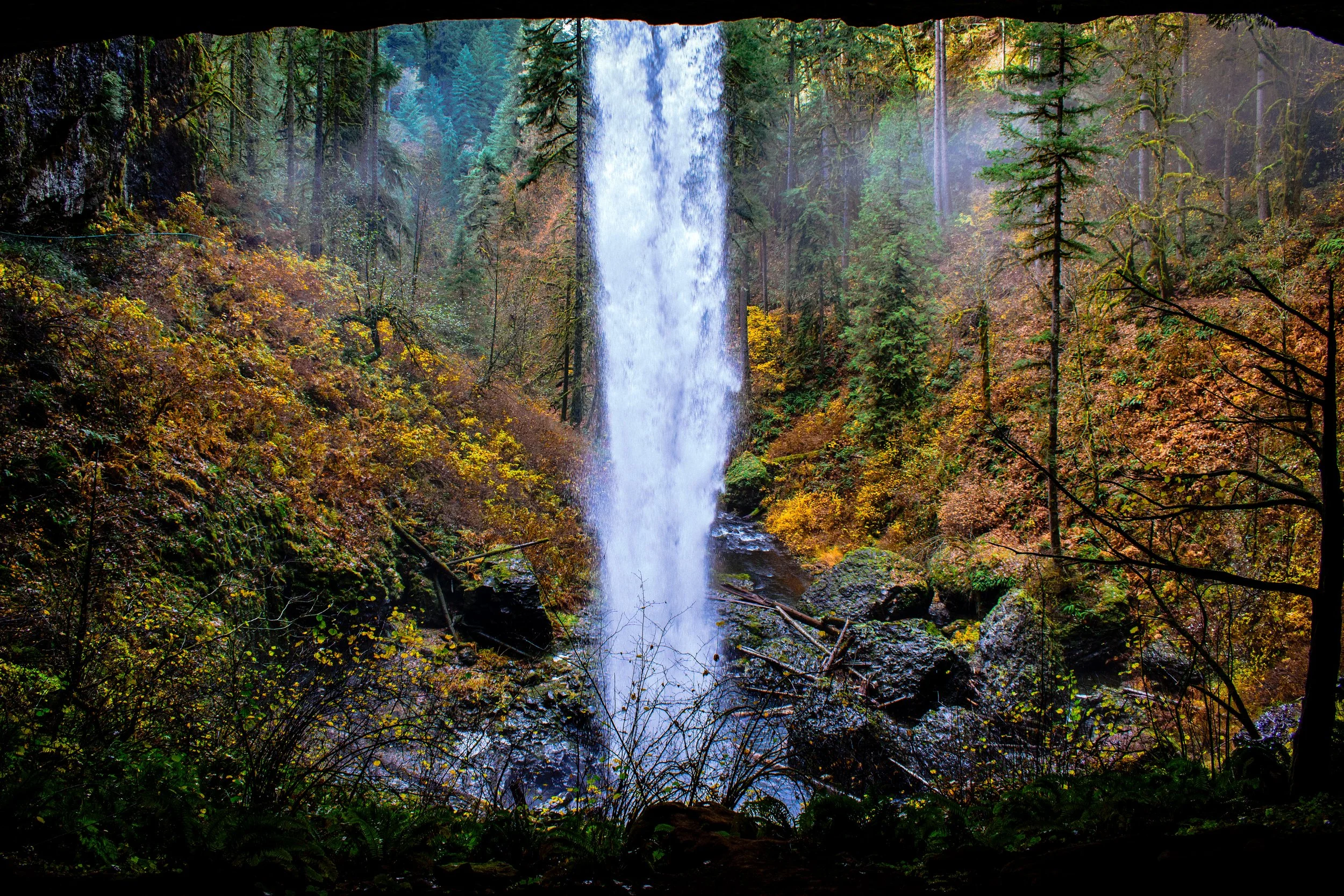 Fall colors running rampant. Ever wonder what a waterfall looks like from behind? Check out Silver Falls state park in Oregon!
