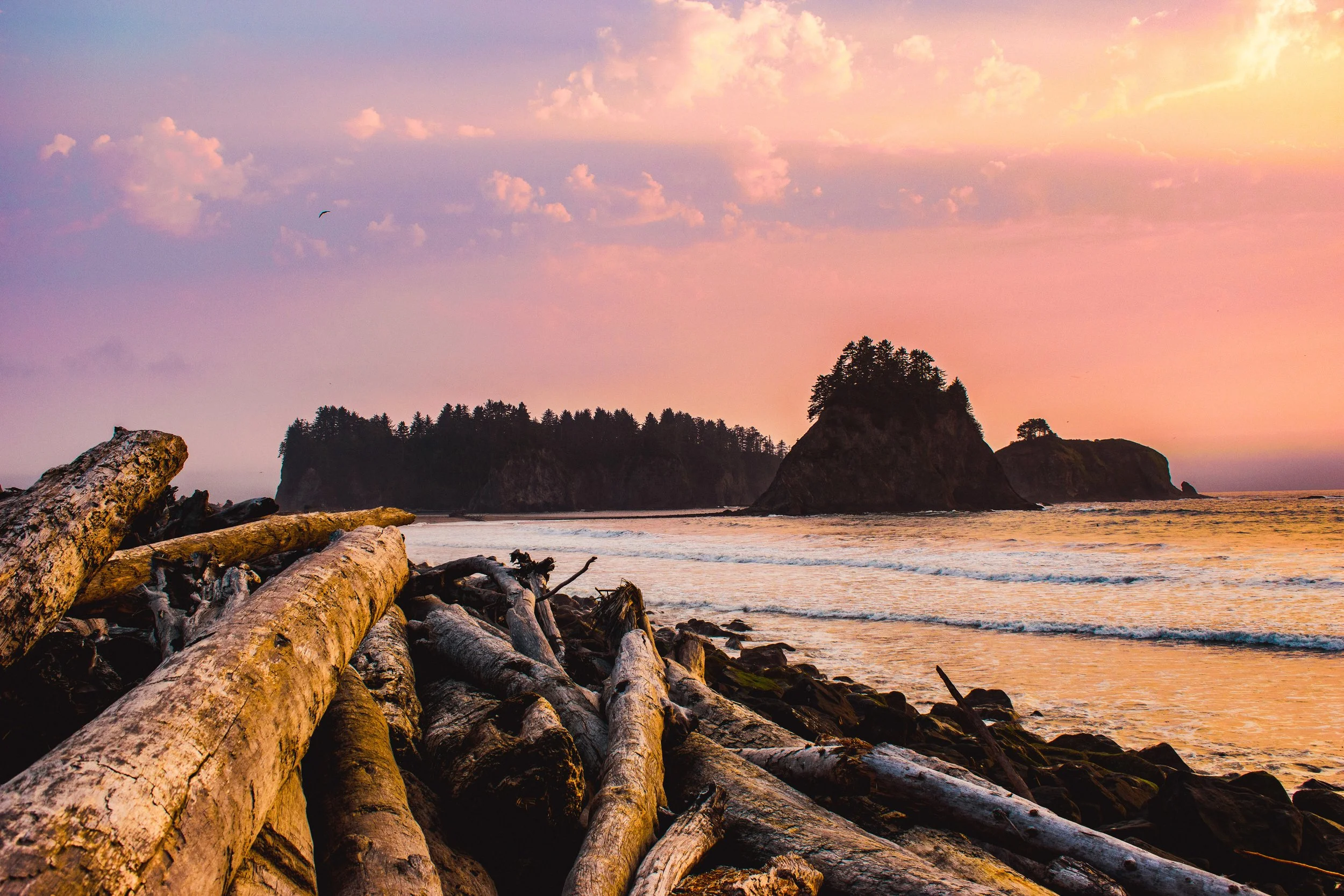 Rialto Beach, Washington as the sunset radiated pink amongst the incoming fog that blanketed the beach within minutes! Driftwood littered the rocky shoreline setting a foreground made of dreams.