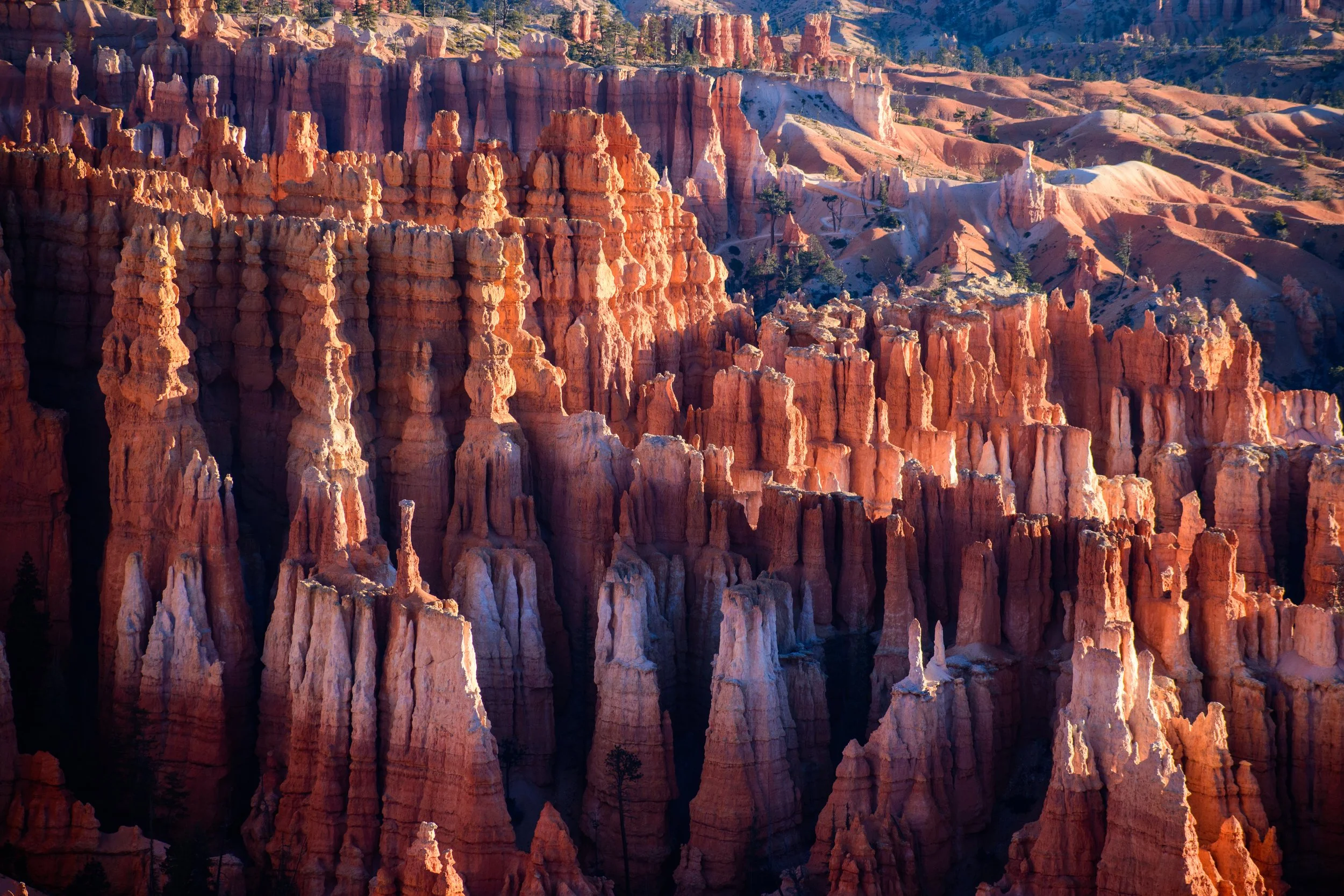 Yes, these sandstone formations are called Hoodoo’s! This shot was taken in Bryce Canyon, Utah at first light, -10 degrees with a real feel of -30!