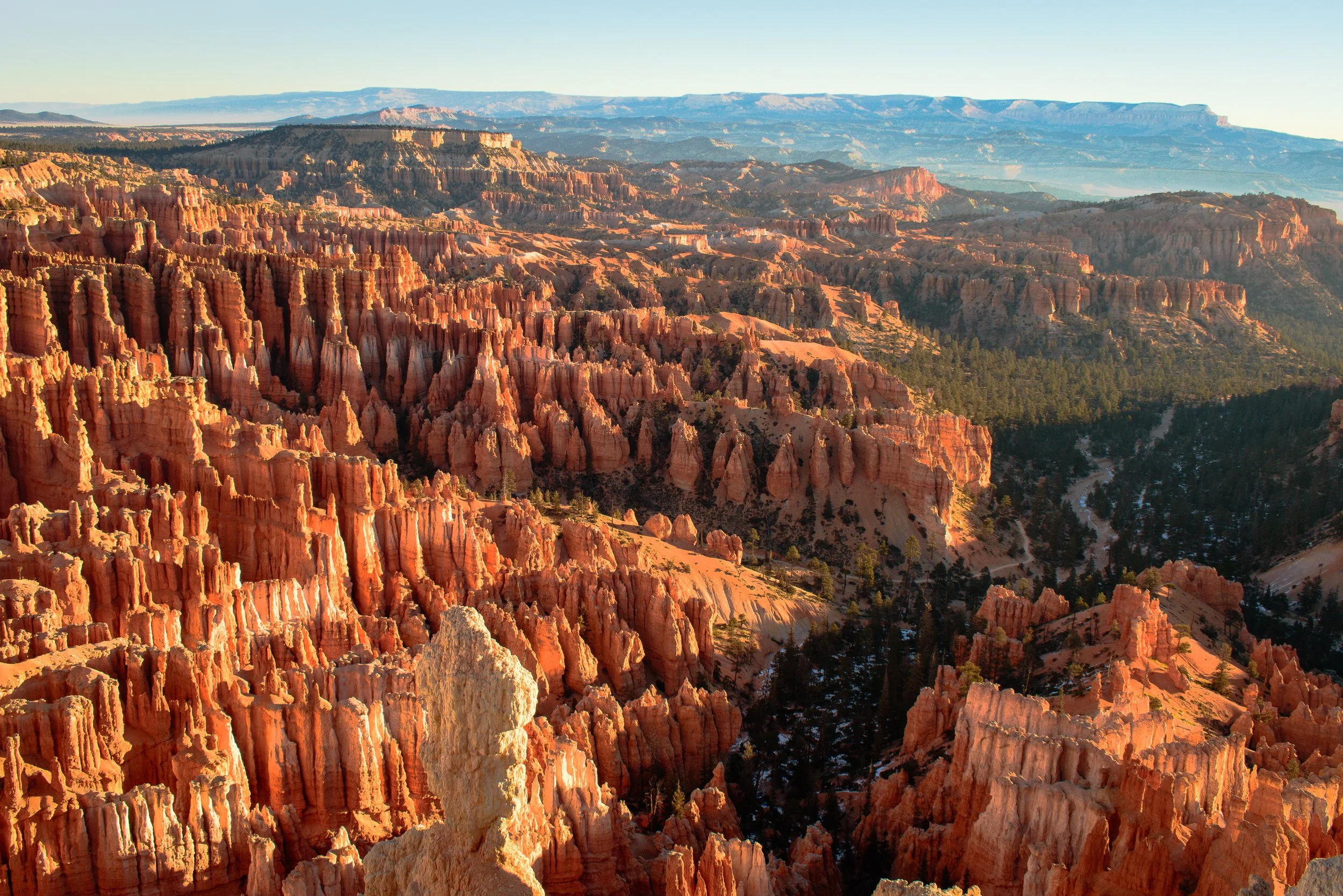 Red sandstone, hoodoo's, Bryce Canyon, Utah.