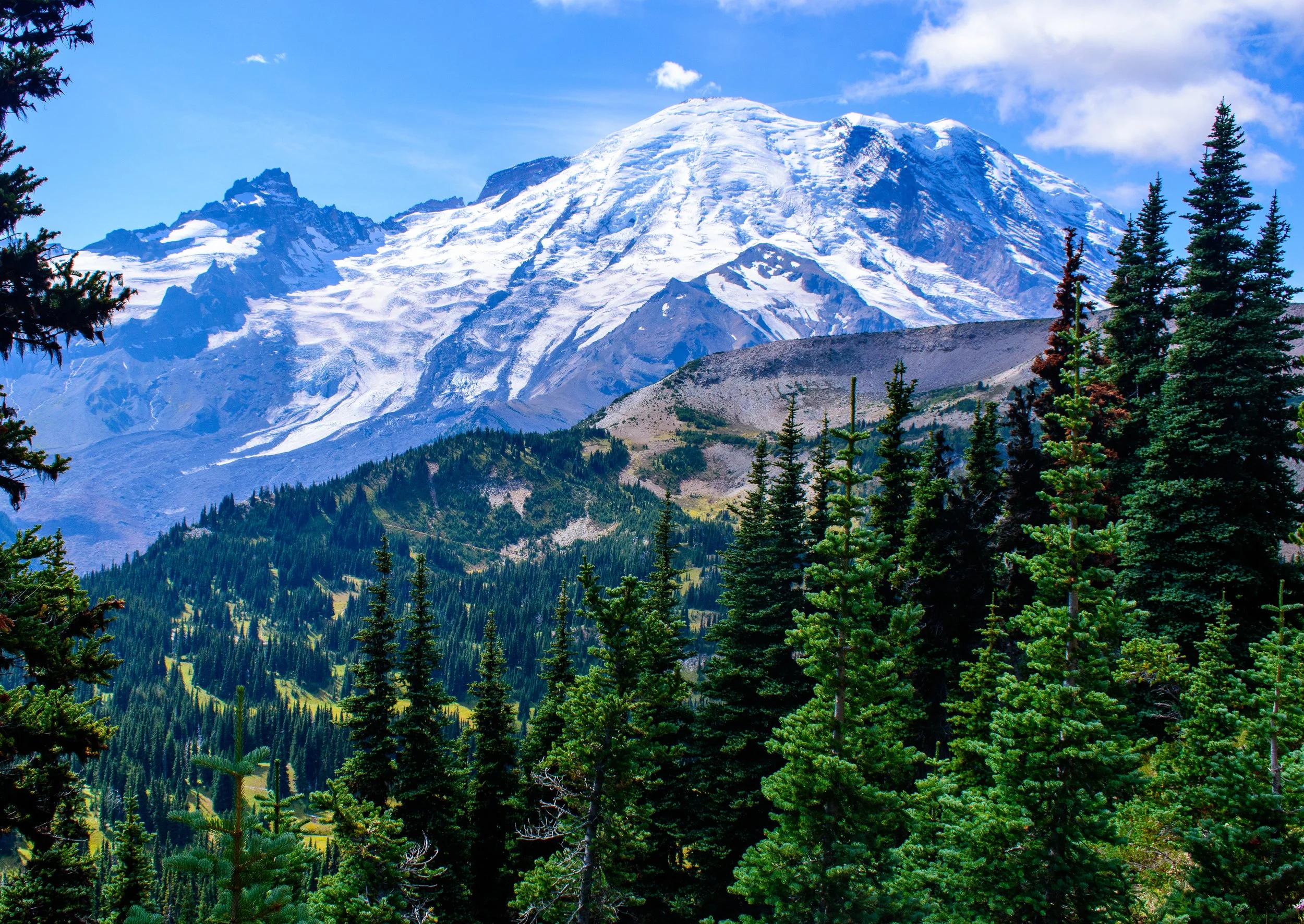 Mount Rainier creates the most beautiful mountainous backdrop. Washington’s monster mountain is so unique compared to the surrounding scenery.