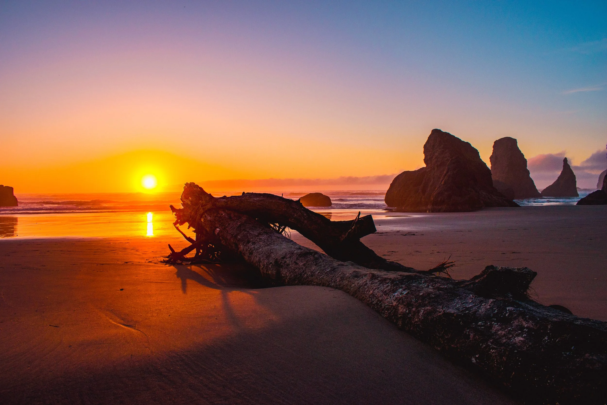 Oregon coast sunsets are a colorful masterpiece. Driftwood from the surrounding forests litter the shore at low tide.