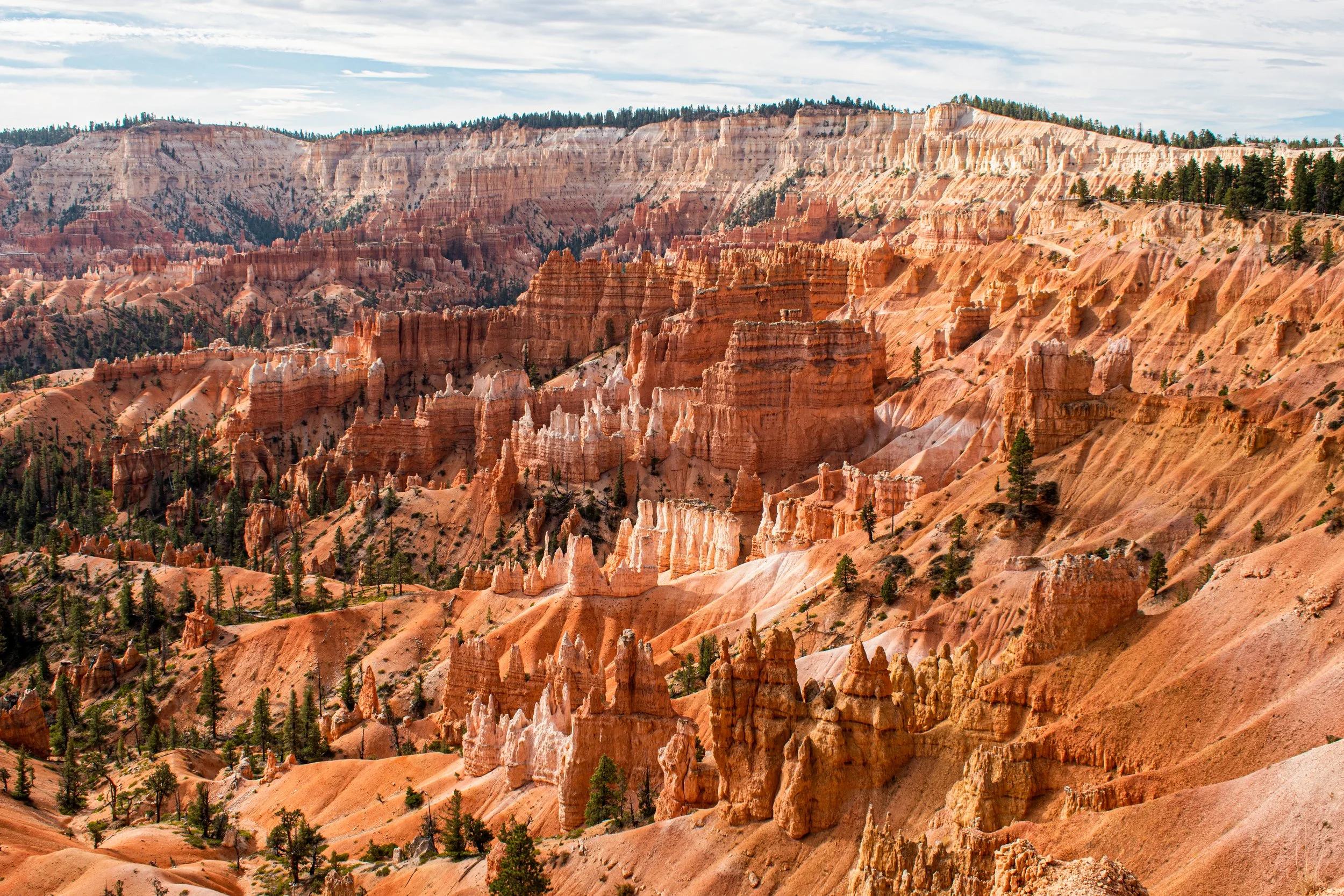 The sandy hills of Bryce amphitheater in Utah give a Sahara Desert feel. An absolute must see!