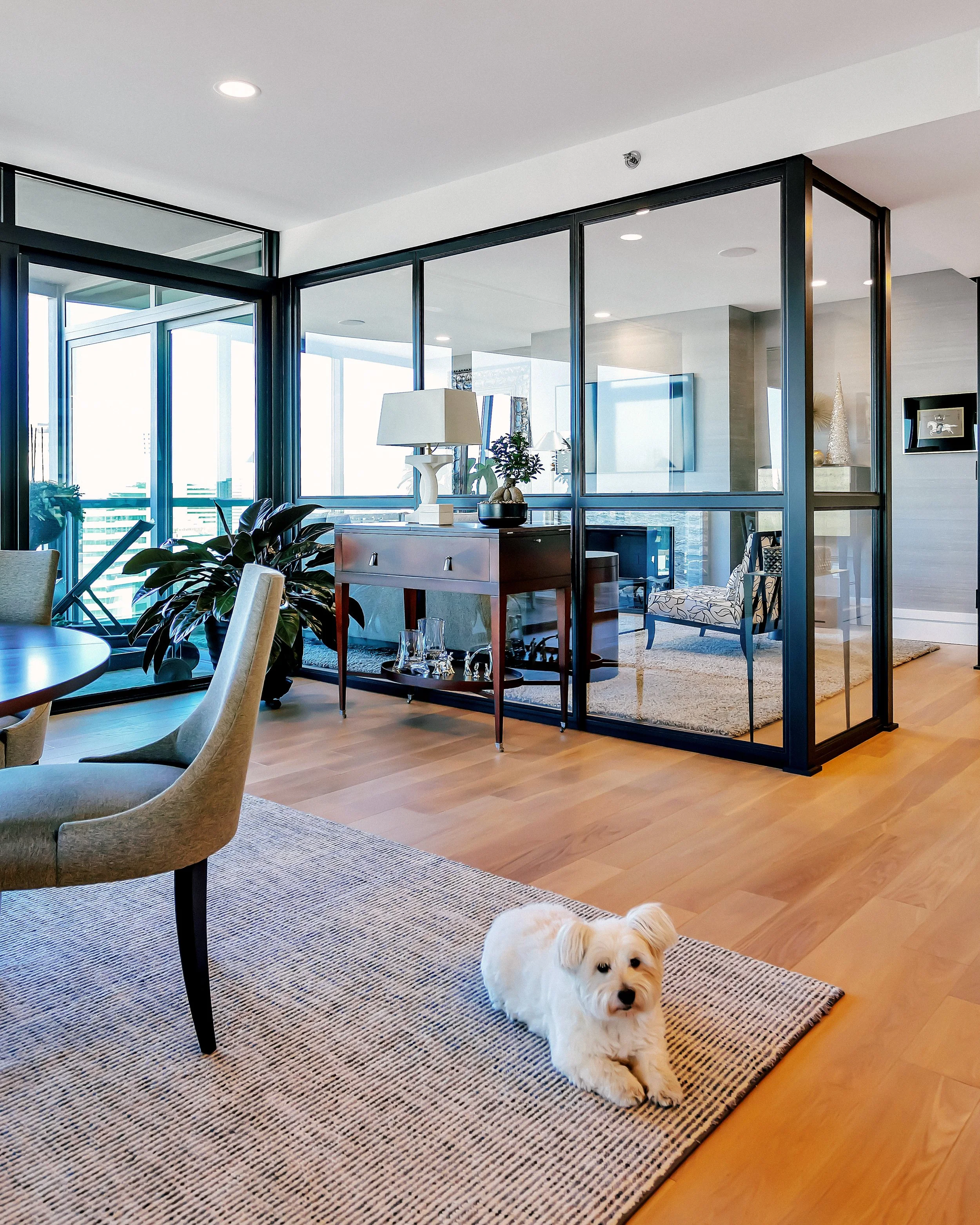 A bright, modern living space with glass walls, wooden floors, and a rug. A small white dog lies on the rug, while a dining table and plants add warmth.