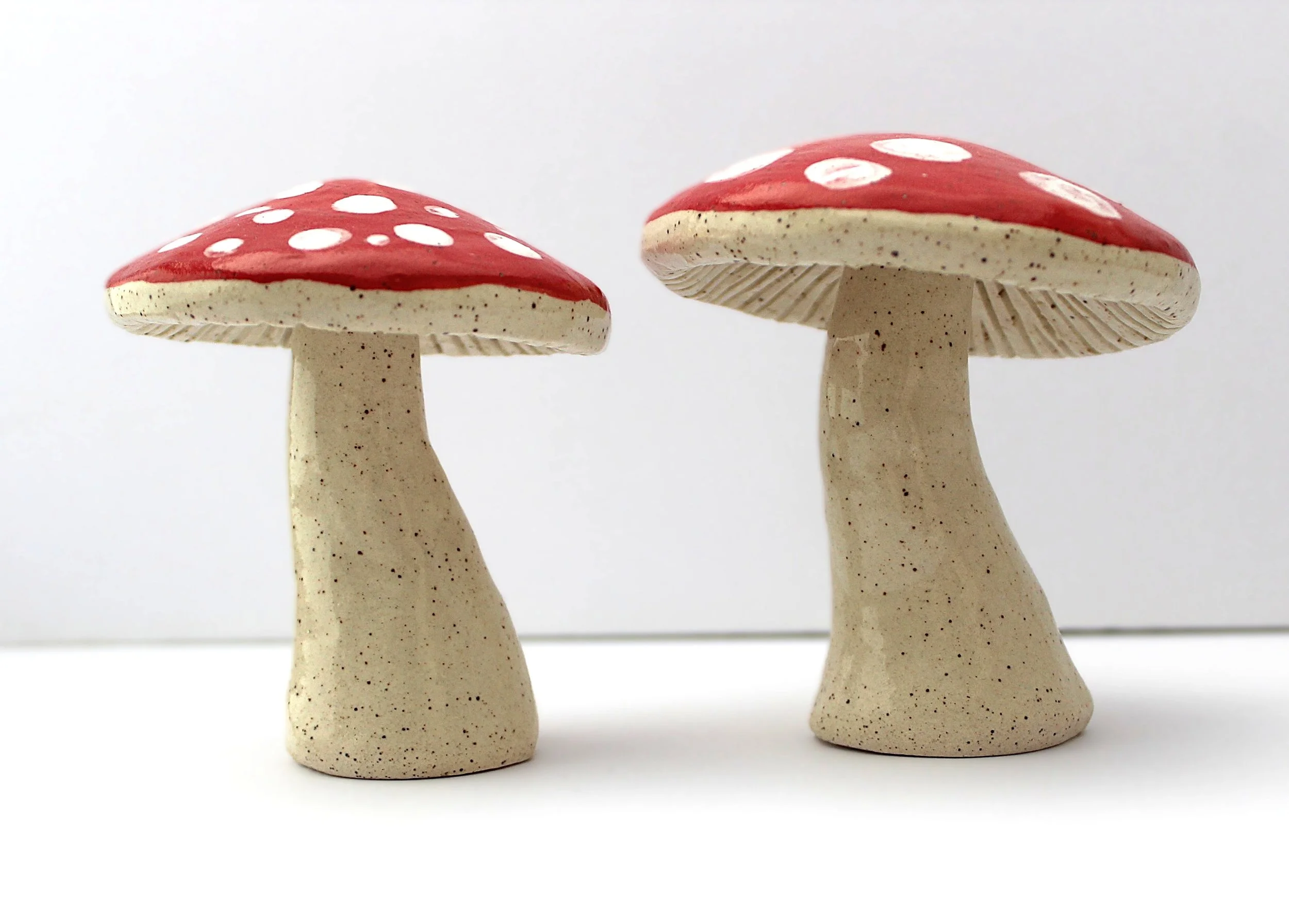 Fungal Form