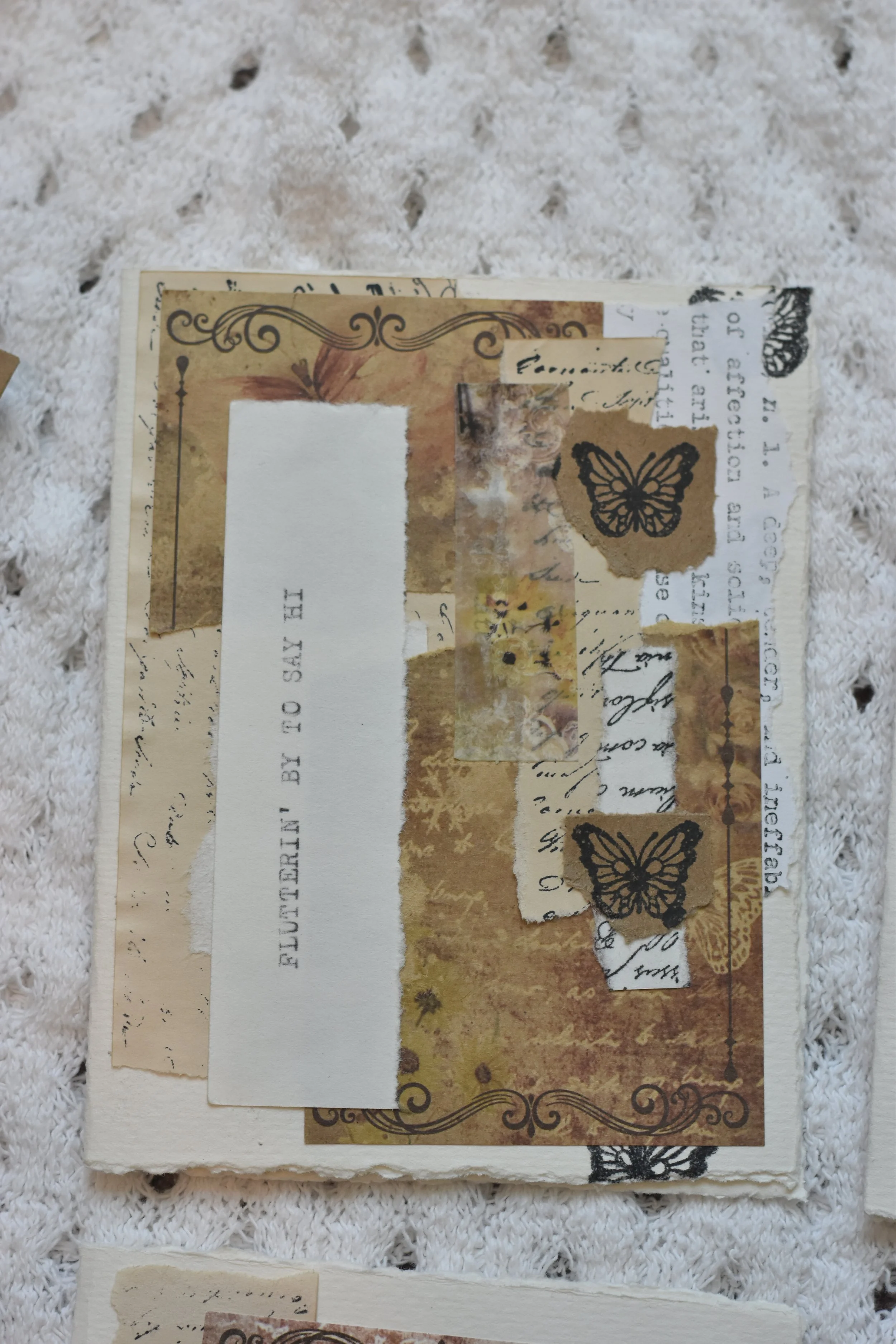 DSC_0804.jpeg