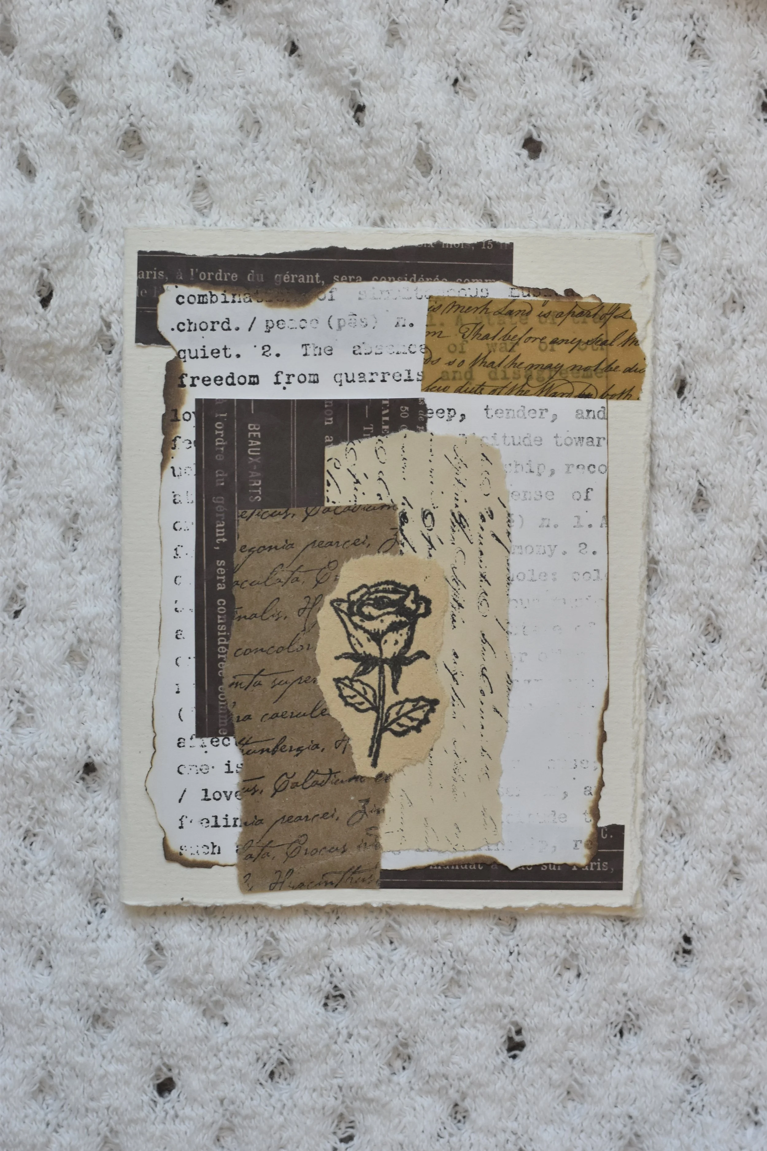DSC_0776.jpeg