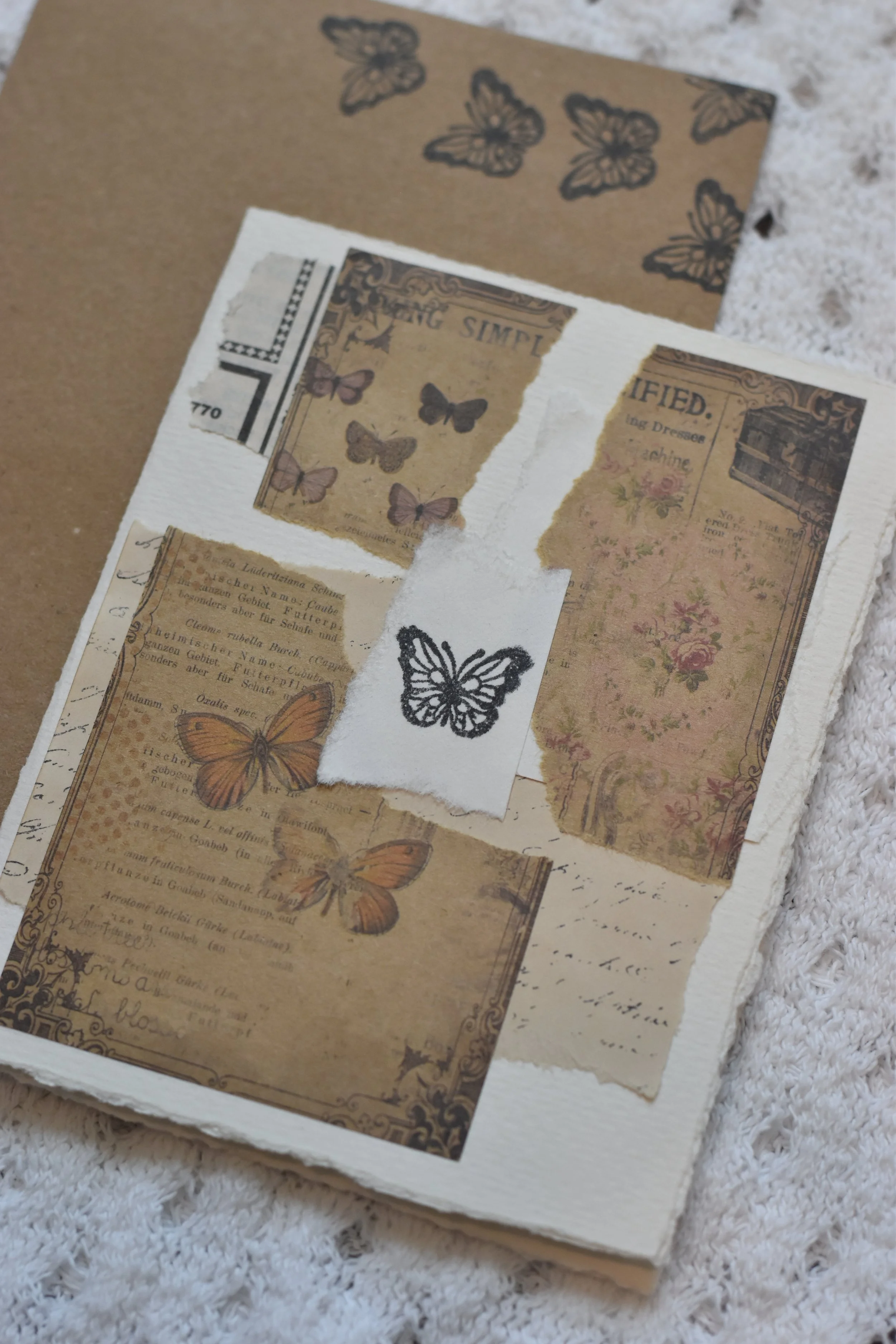 Butterfly (single)