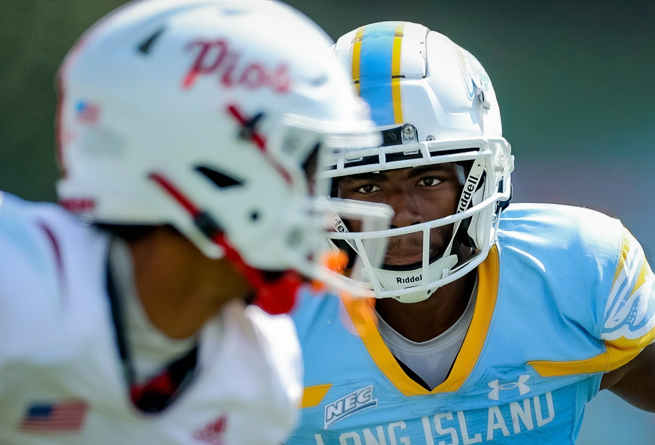 LIU Football Collection