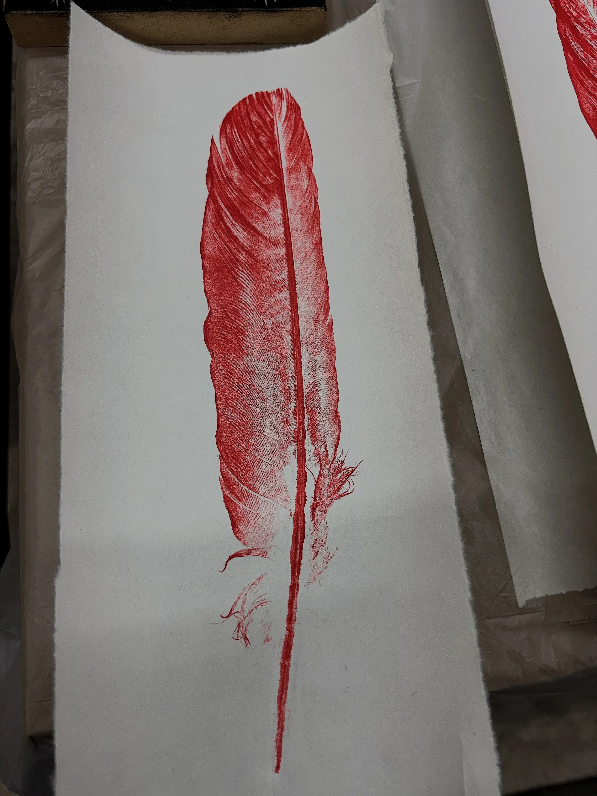 Raven feather collagraph.