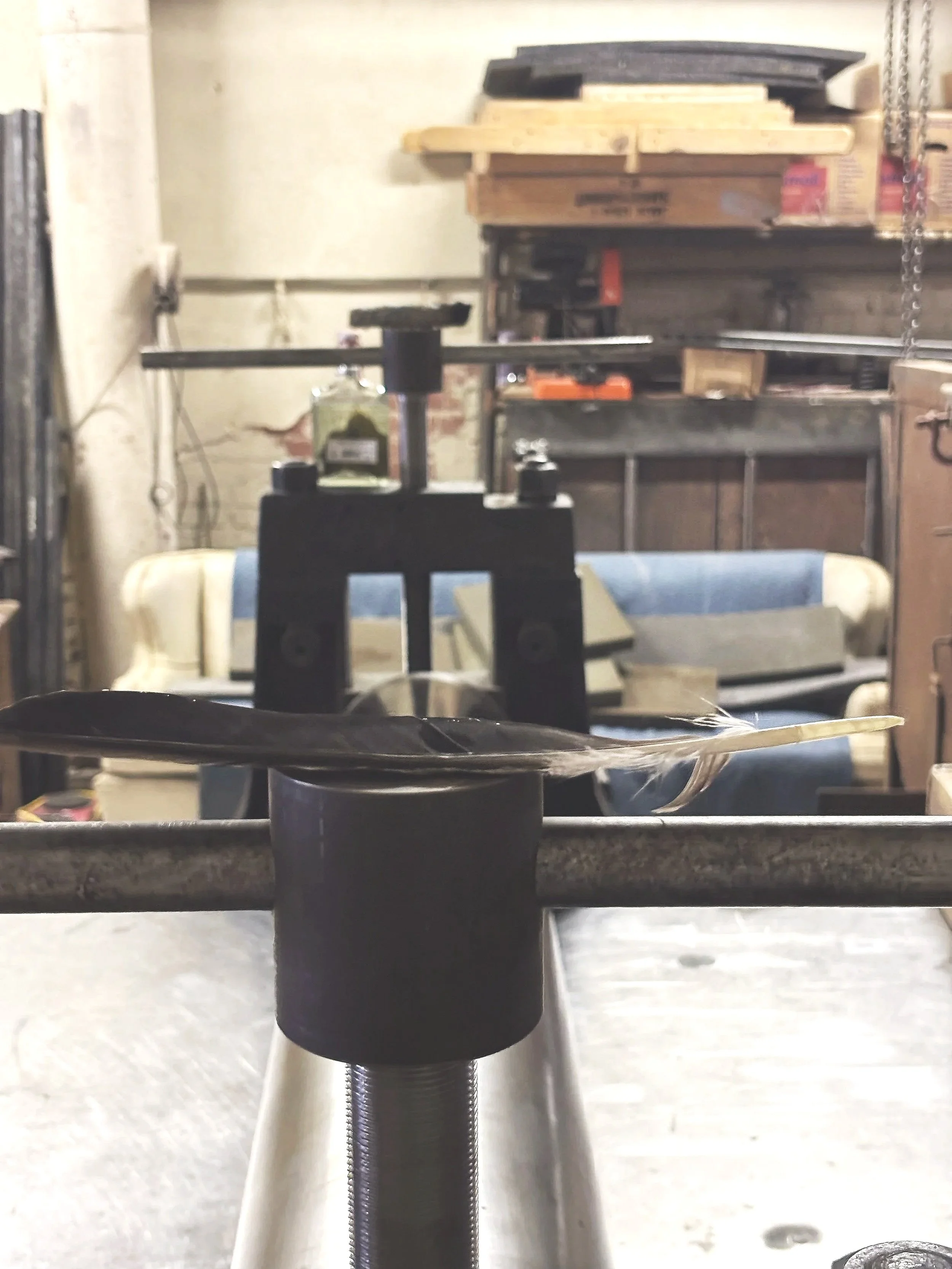 Raven Feather and the Traung.