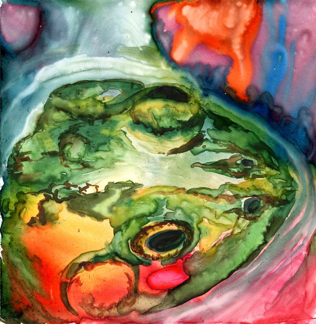 AnnieAllen-frog-bath.jpg