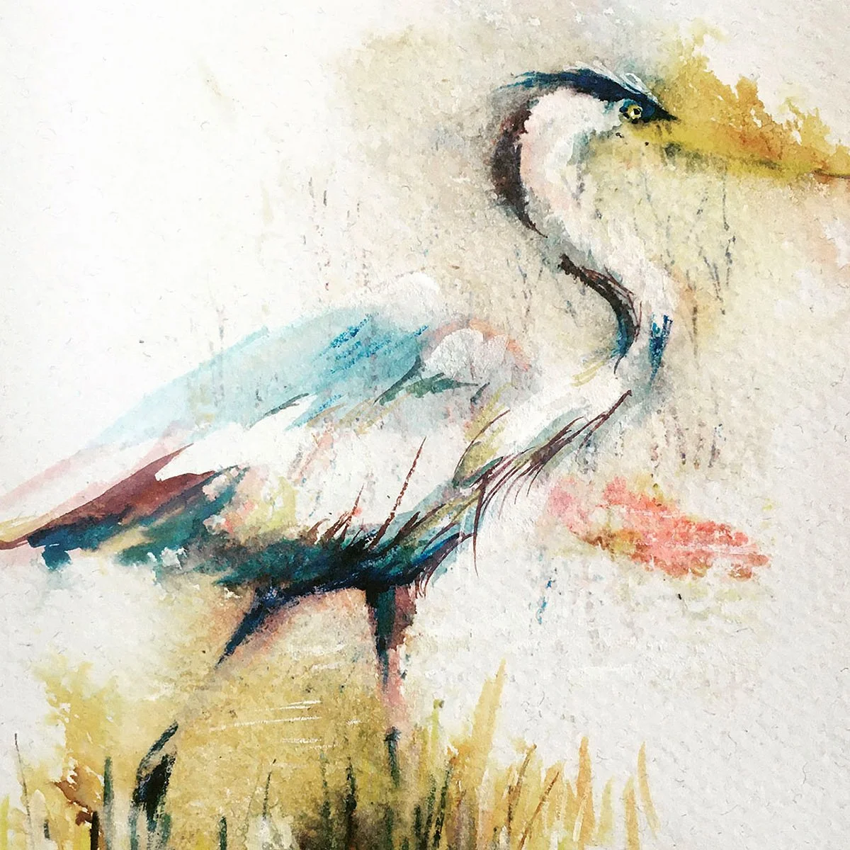 Crane-magic-Annie-Allen.jpg