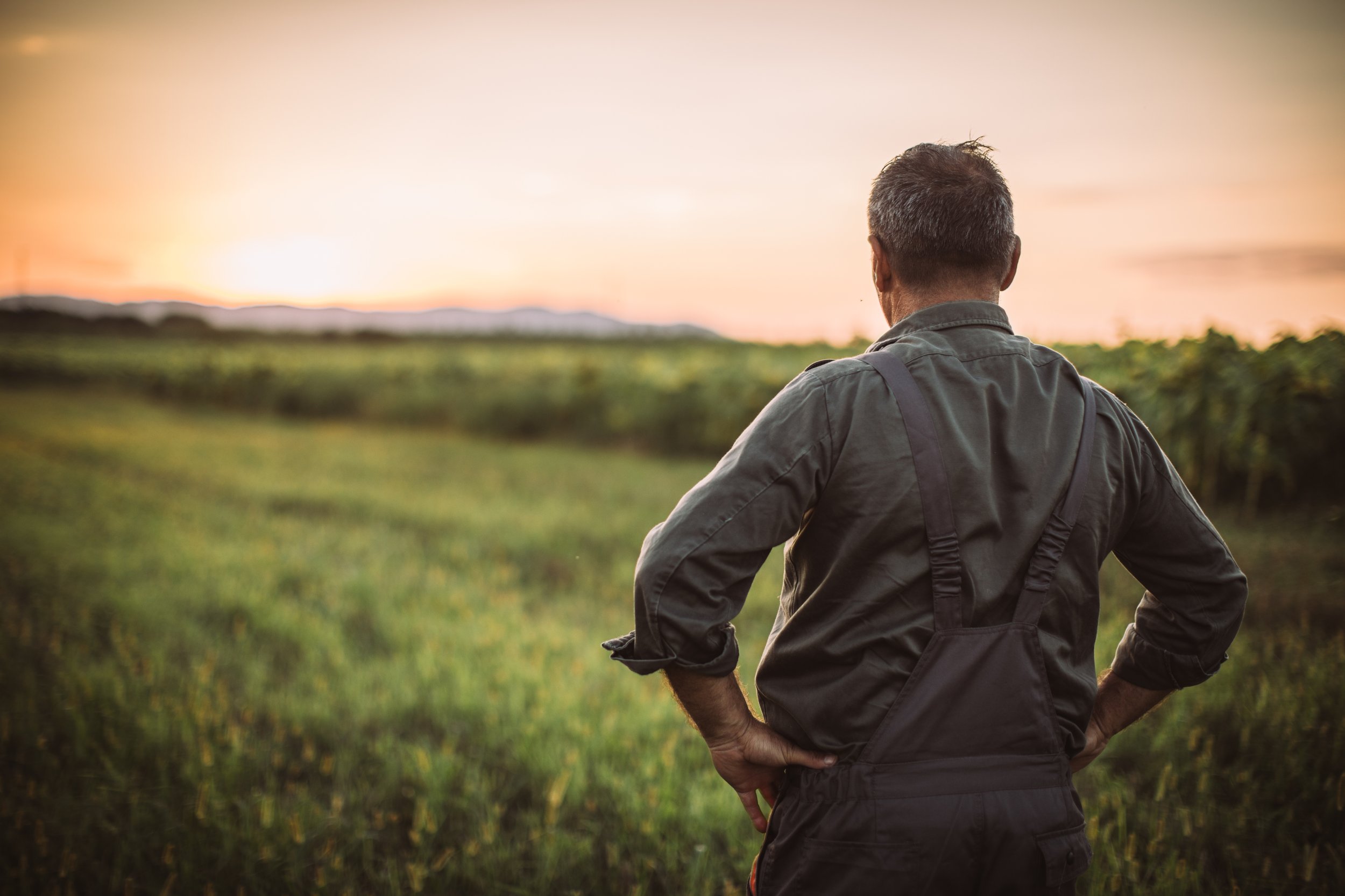 A man with short, dark hair and a gray shirt stands with his hands on his hips, looking at a sunset over a green landscape.