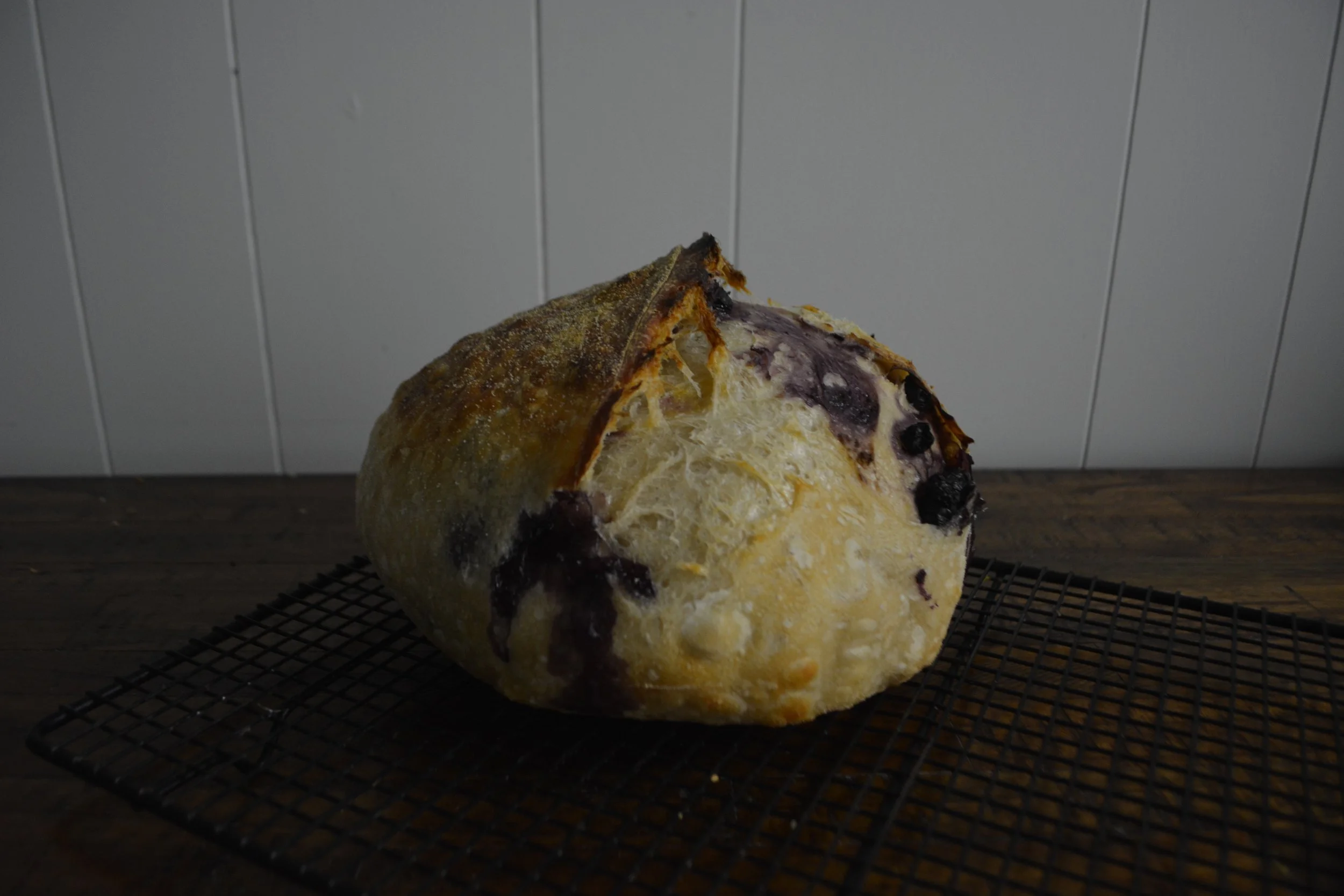 Sourdough Loaf Flavor of the Month - Blueberry Lemon