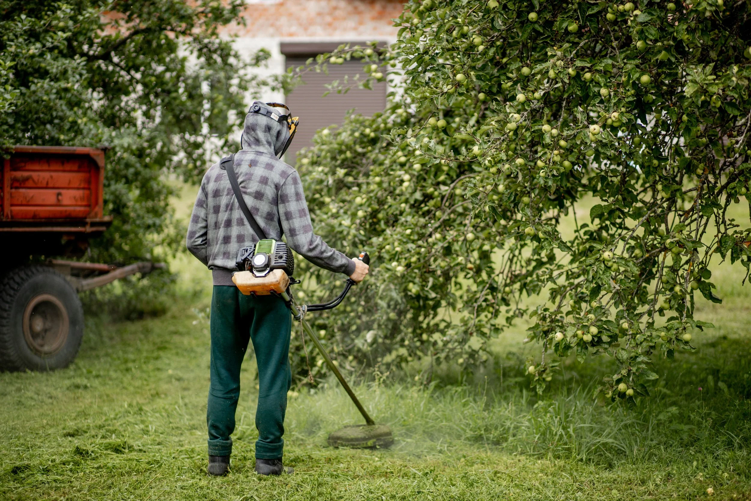 man-mowing-grass.jpg