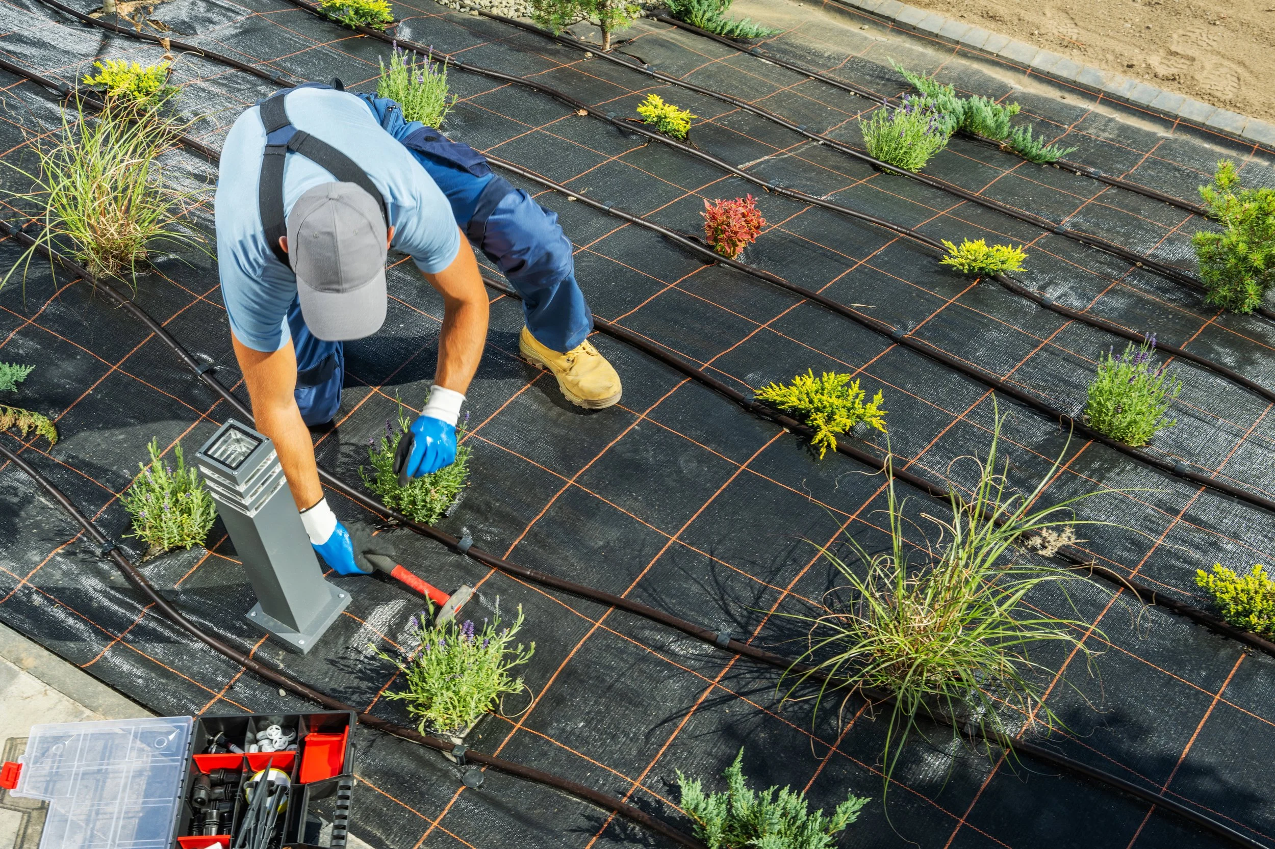 gardener-installing-garden-drip-irrigation-system.jpg