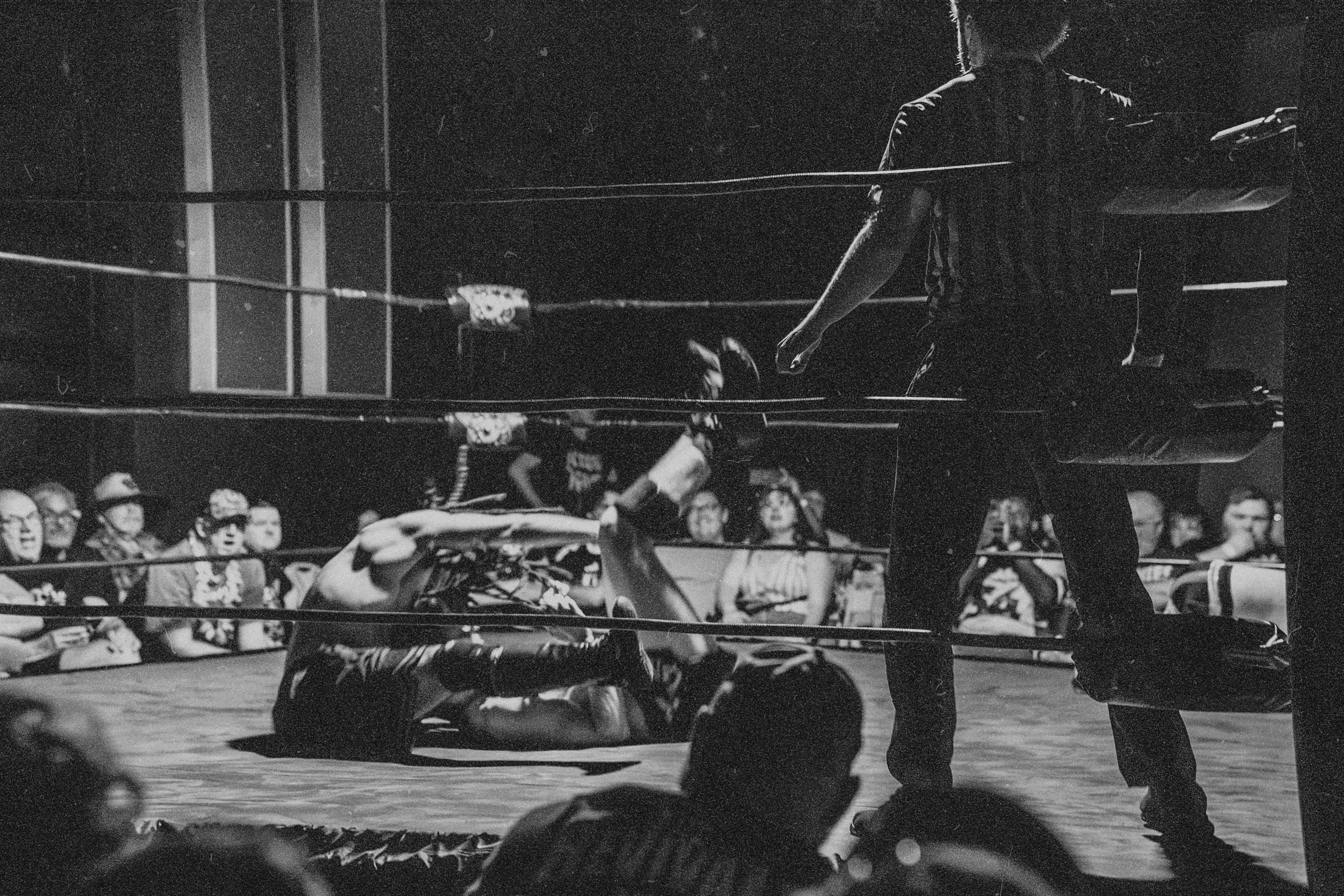 Retinal Wrestling . ALL GOOD BEVERAGE CO . 2026 .